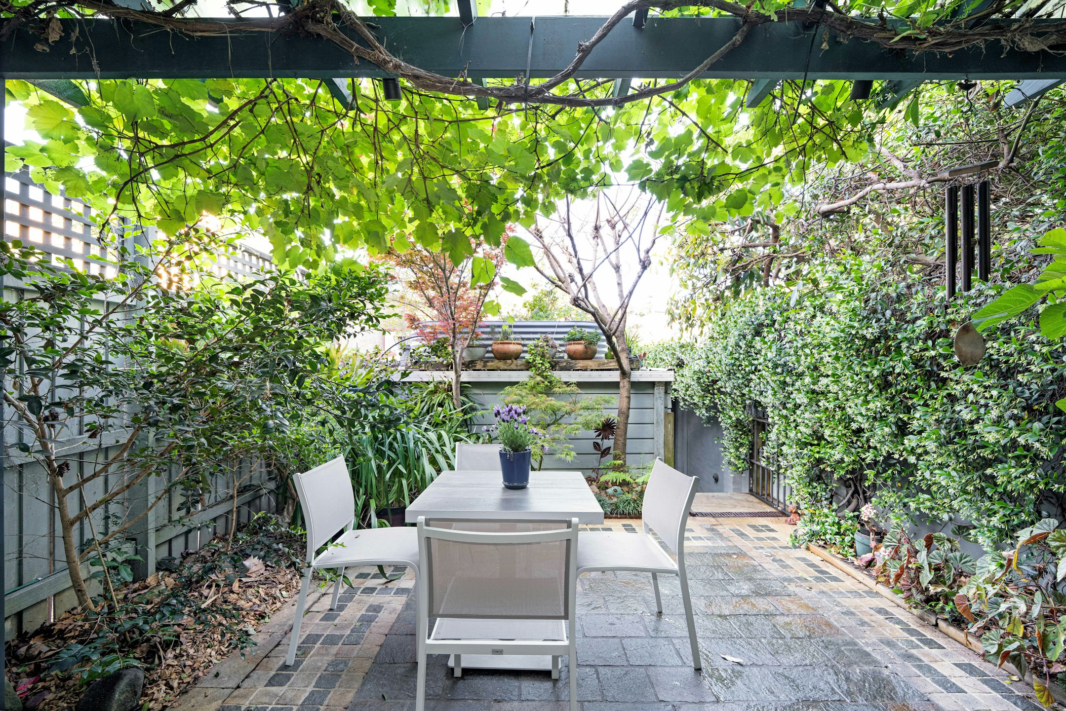 garden