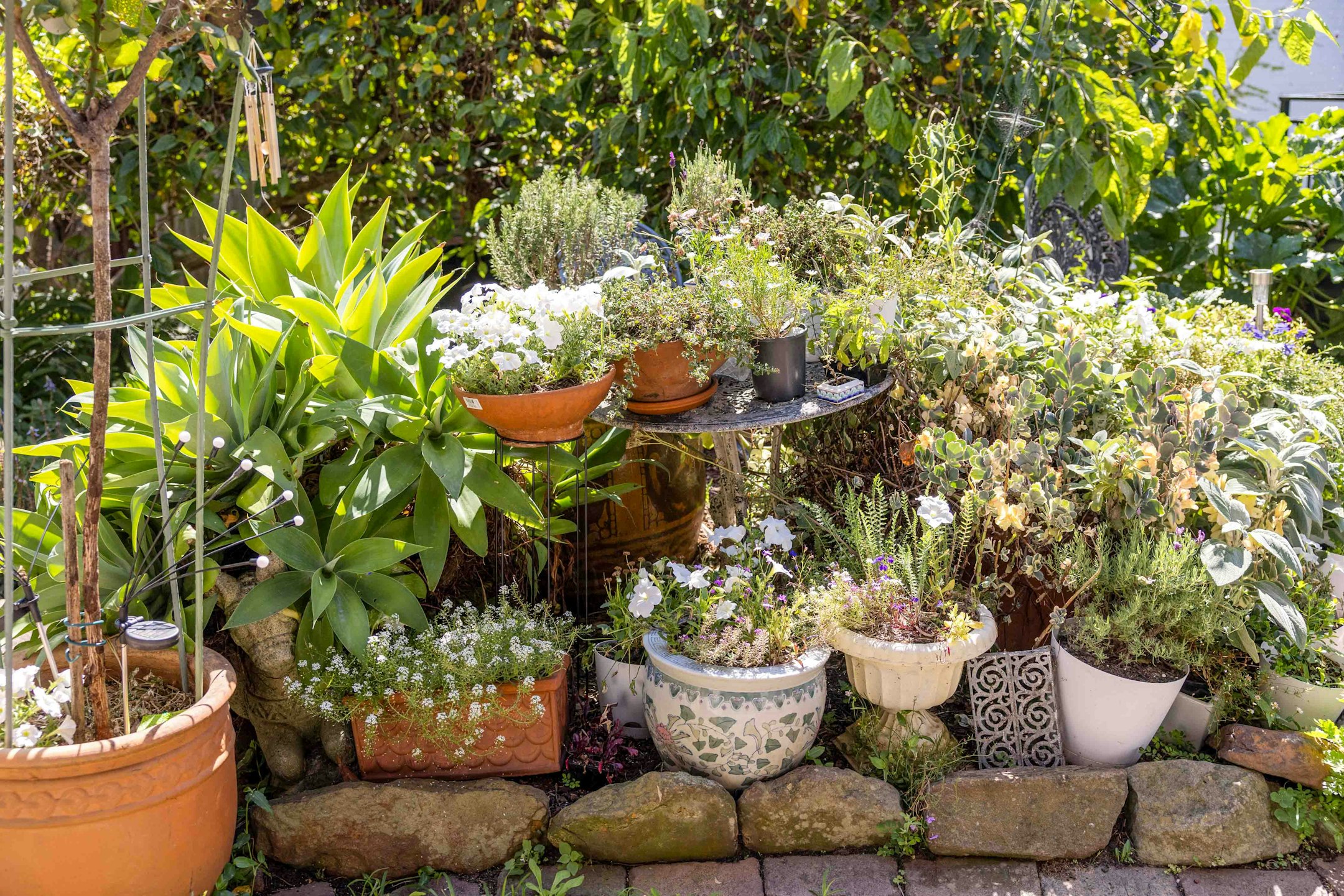 garden