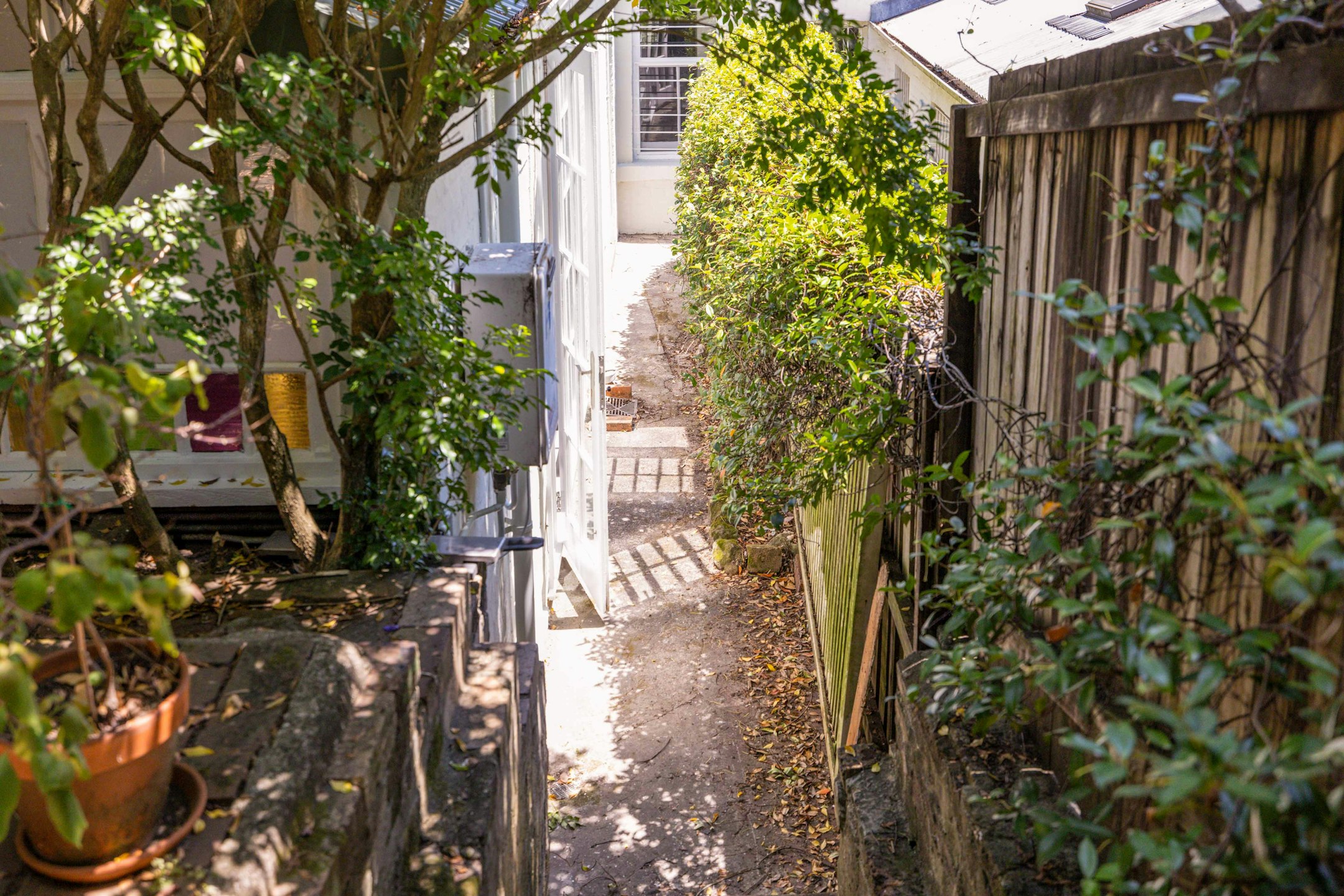 garden