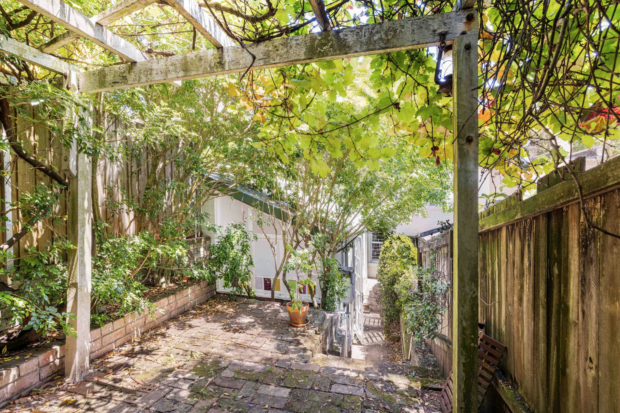 garden