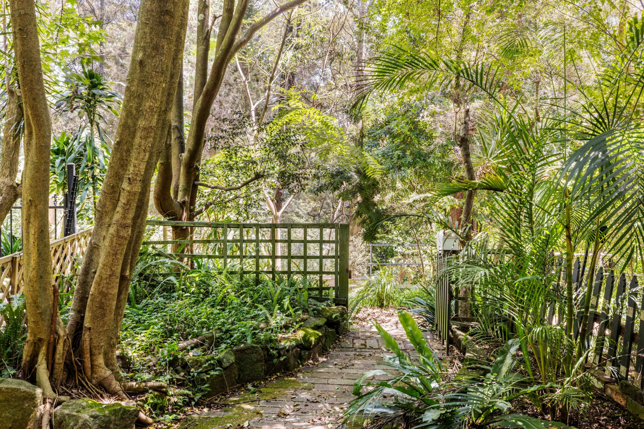 garden