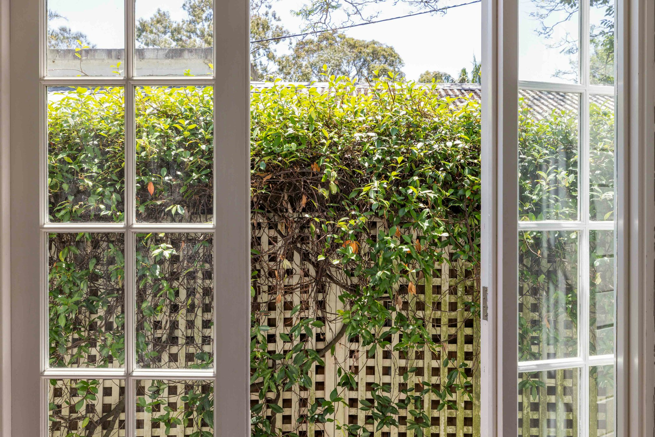 french window