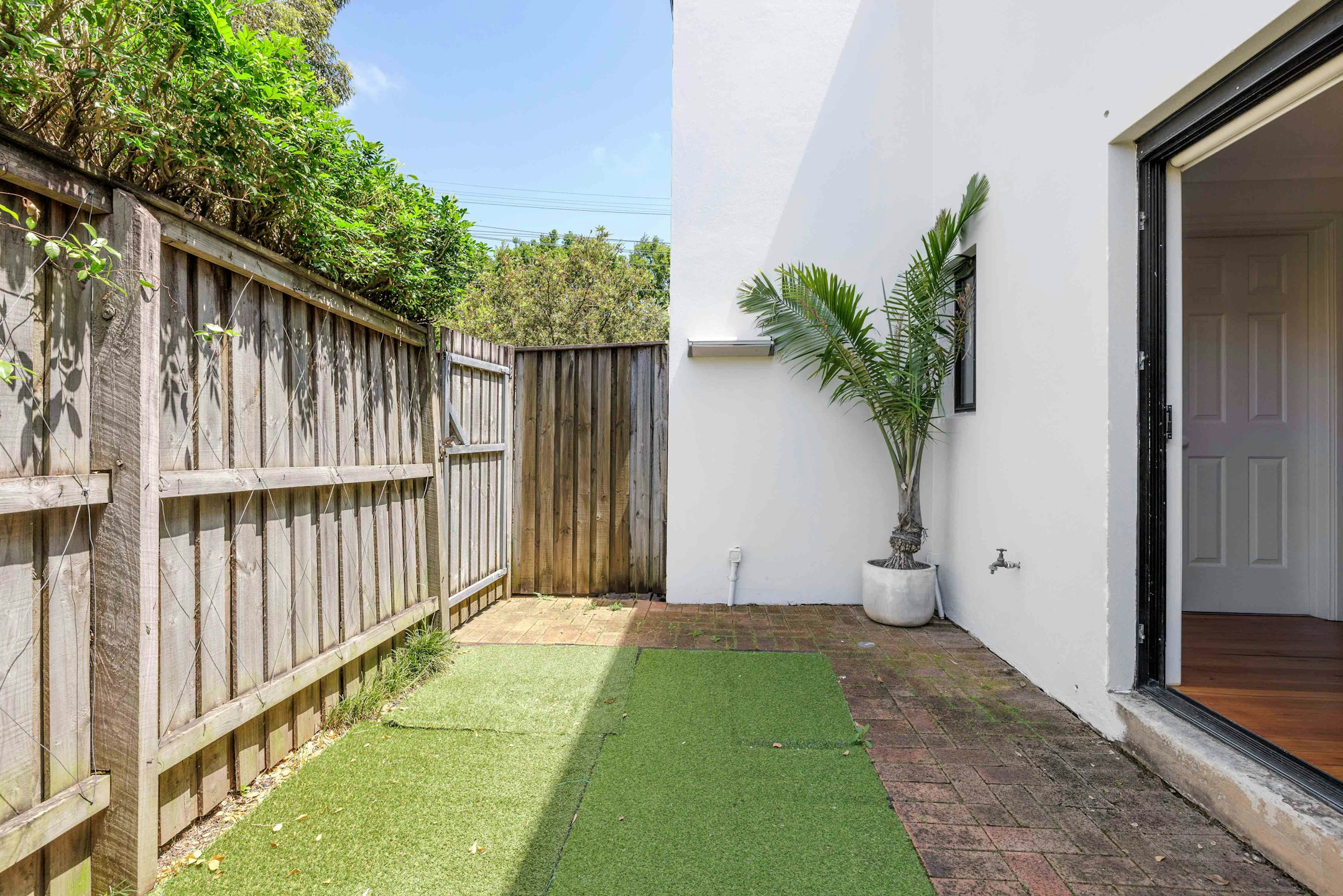 backyard