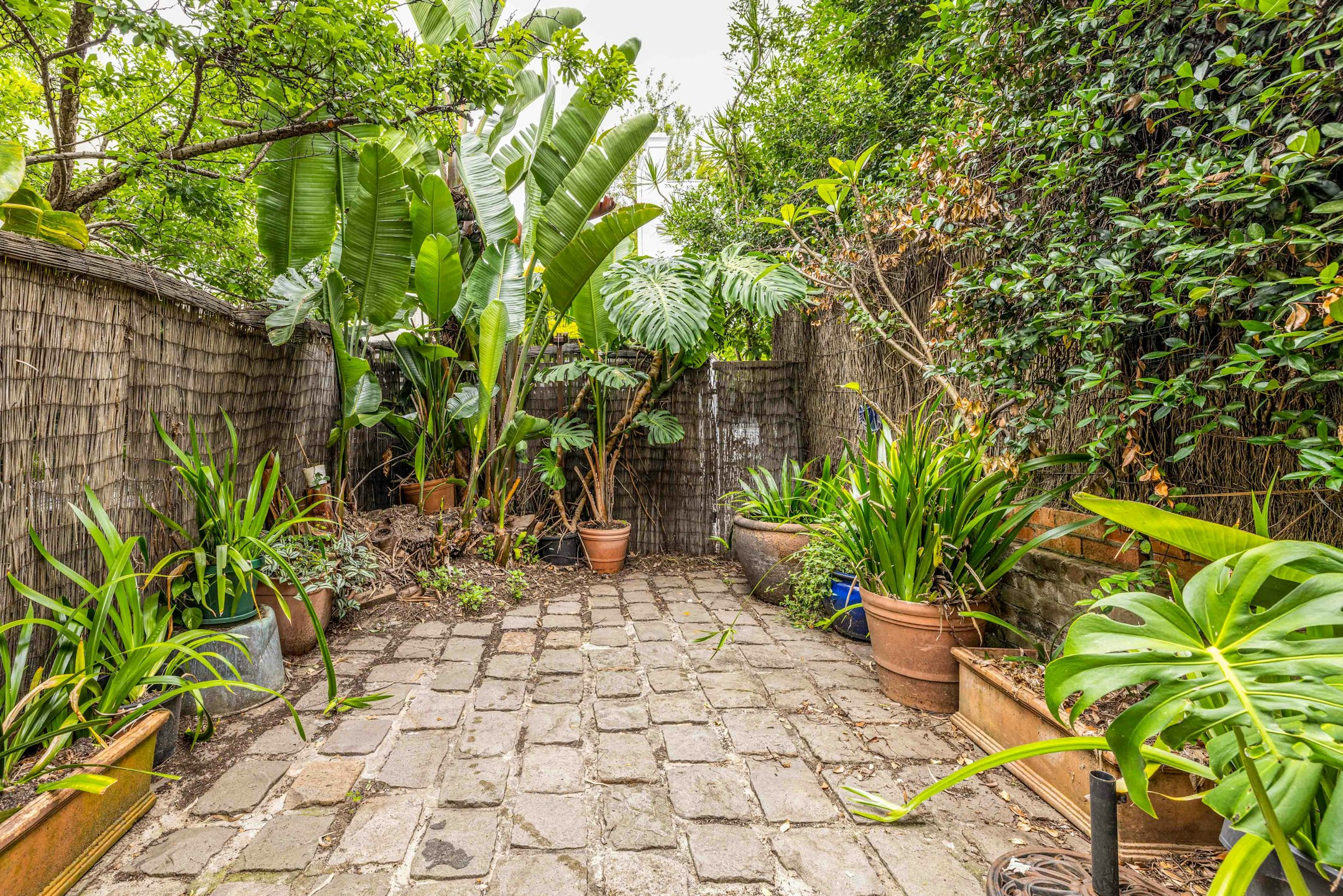 garden