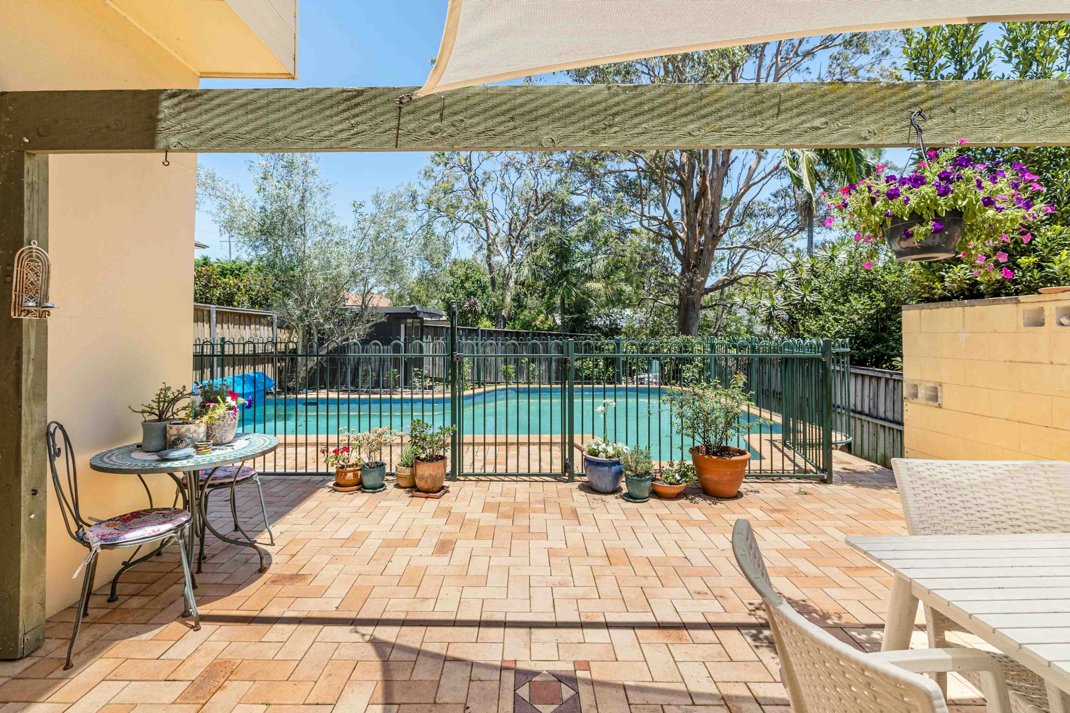 backyard