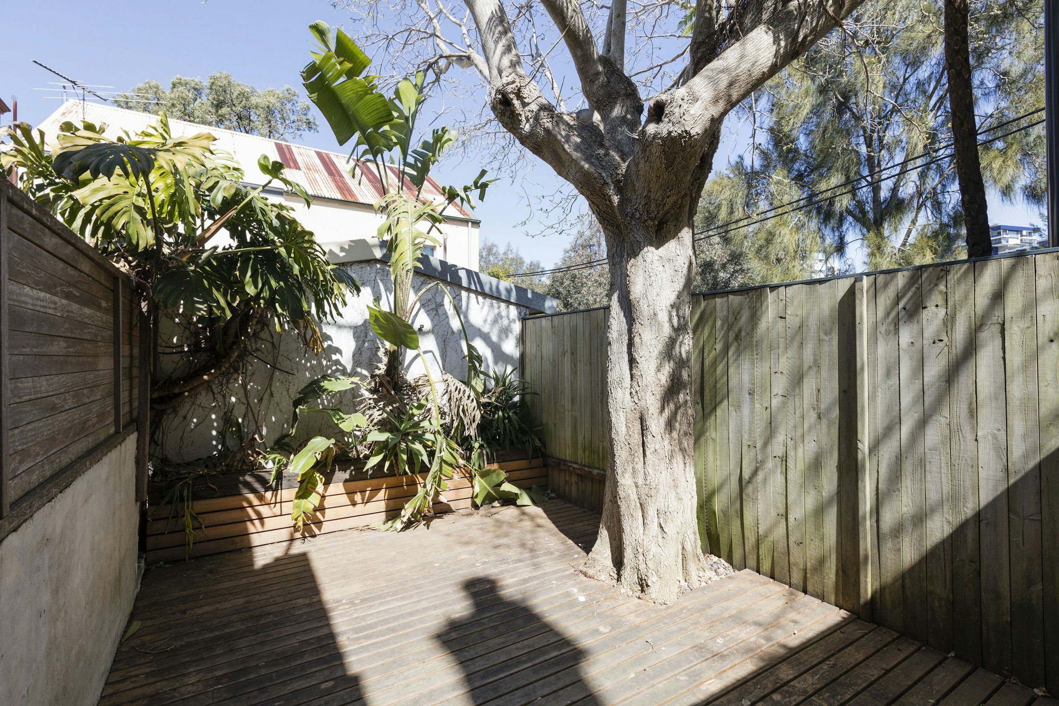 garden