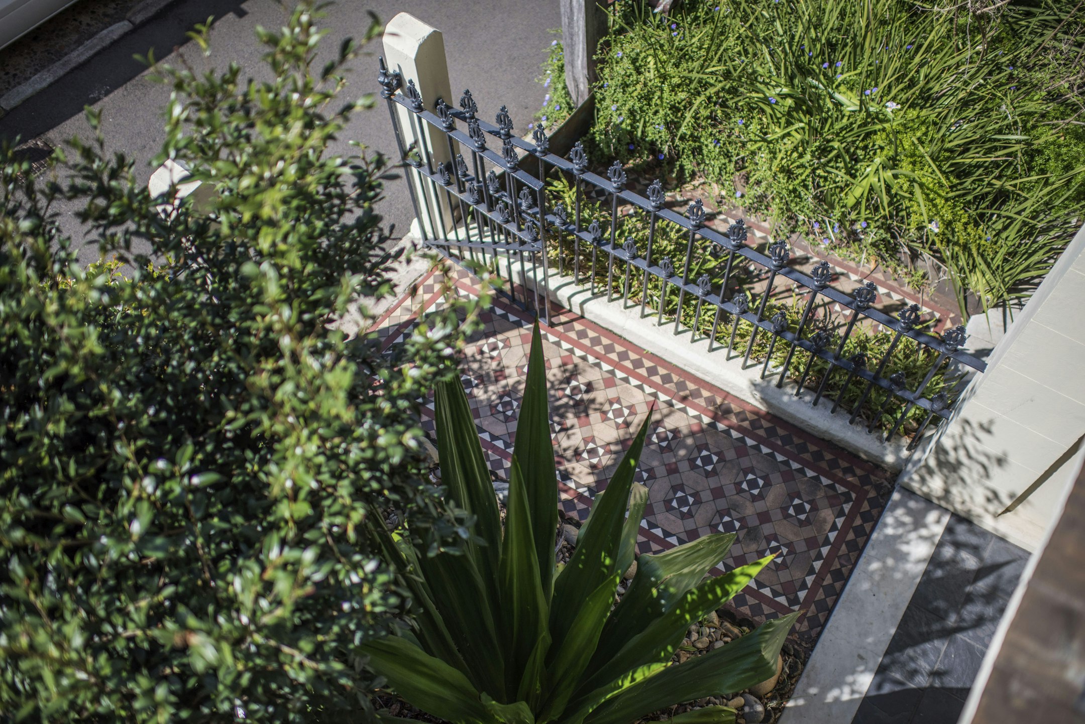 garden