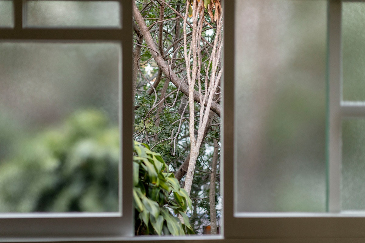 window