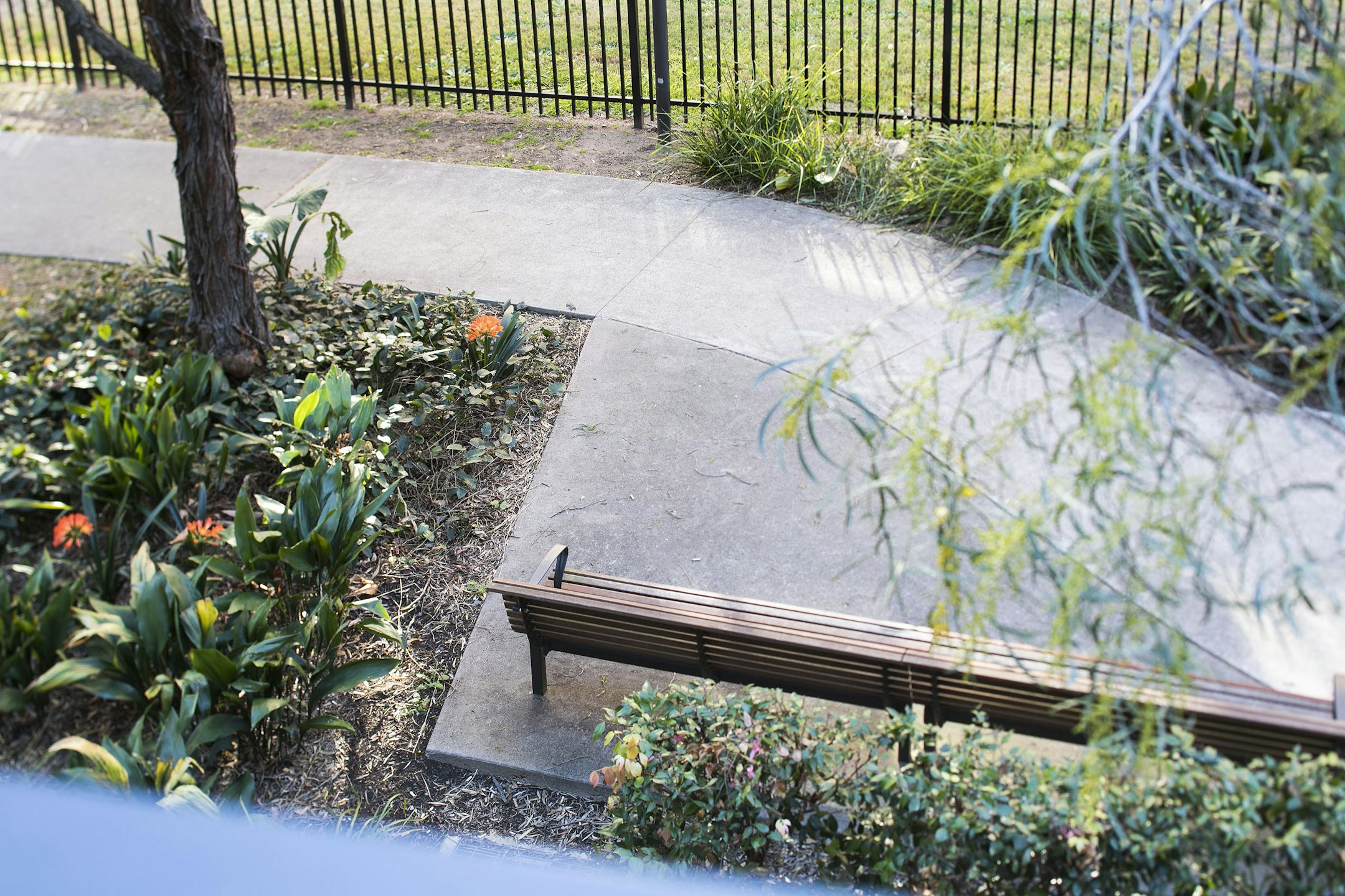 bench