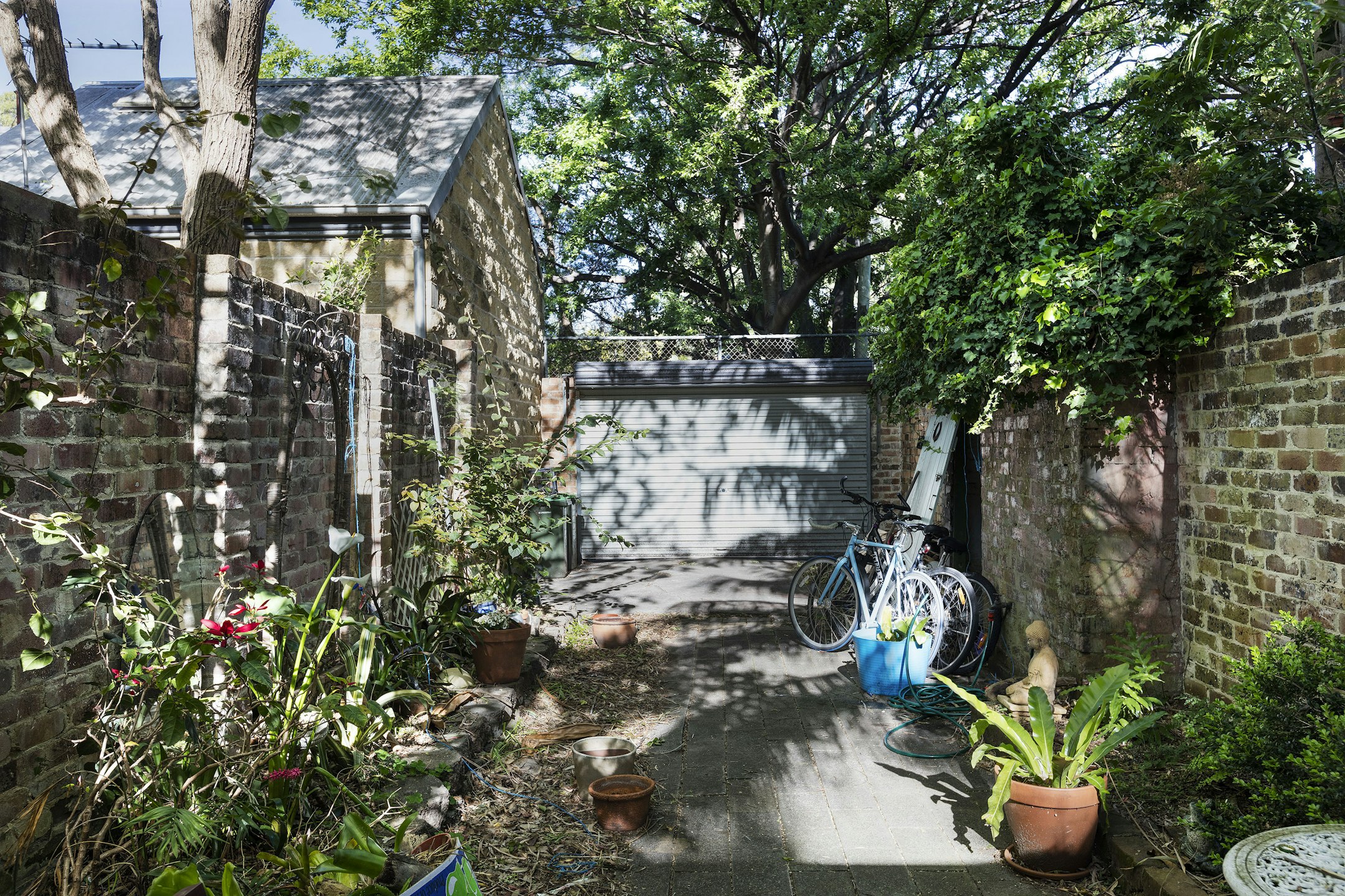 garden