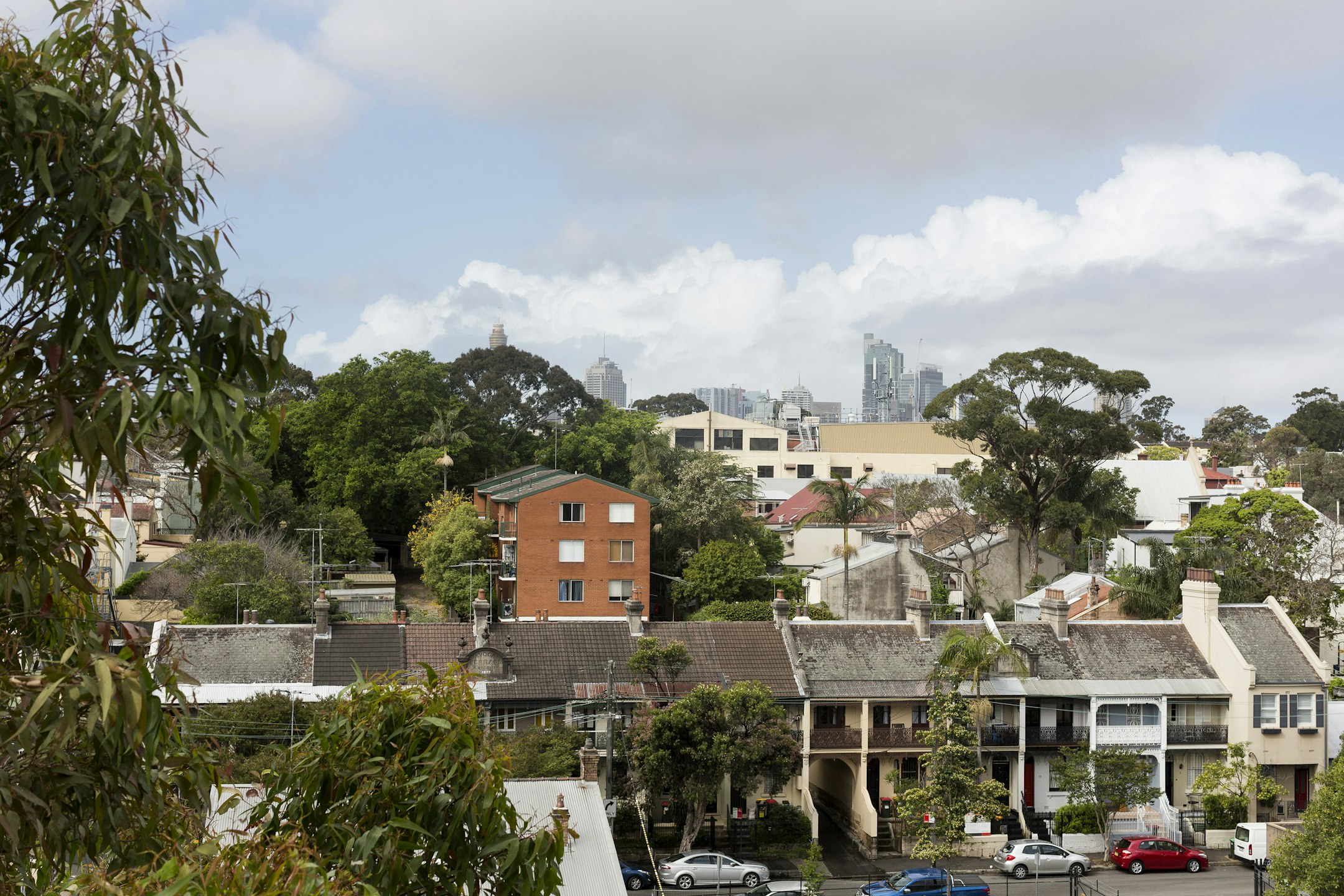 neighborhood
