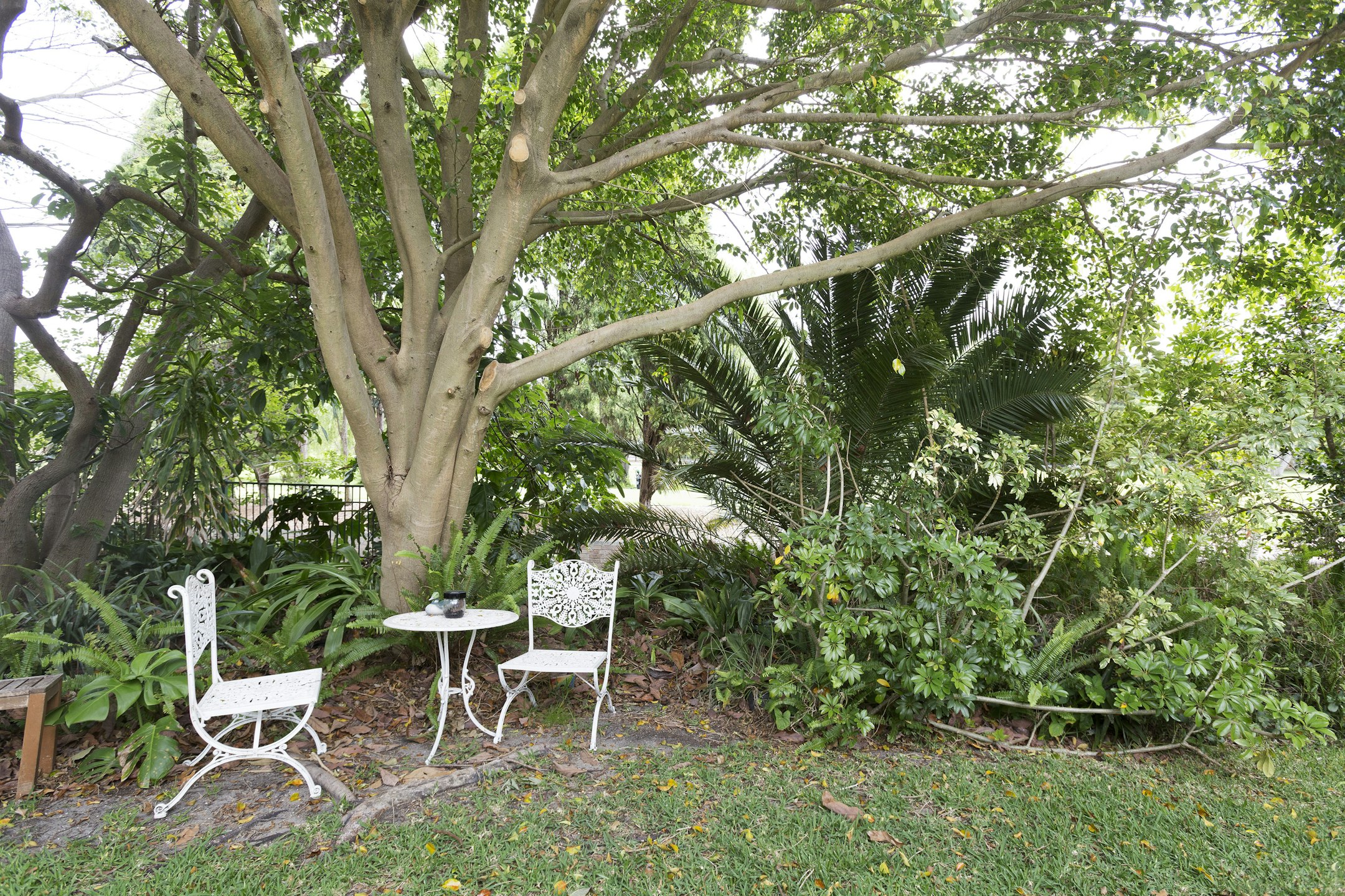 garden