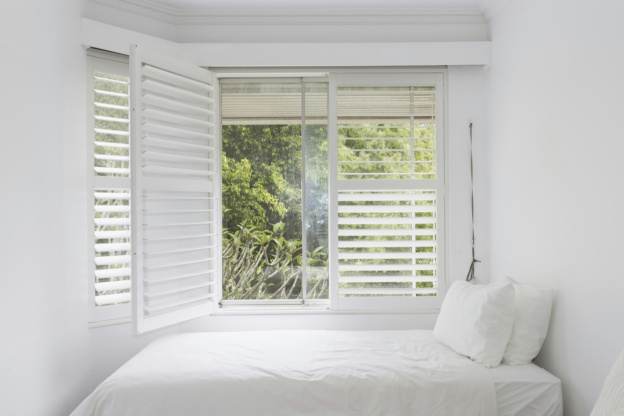 window