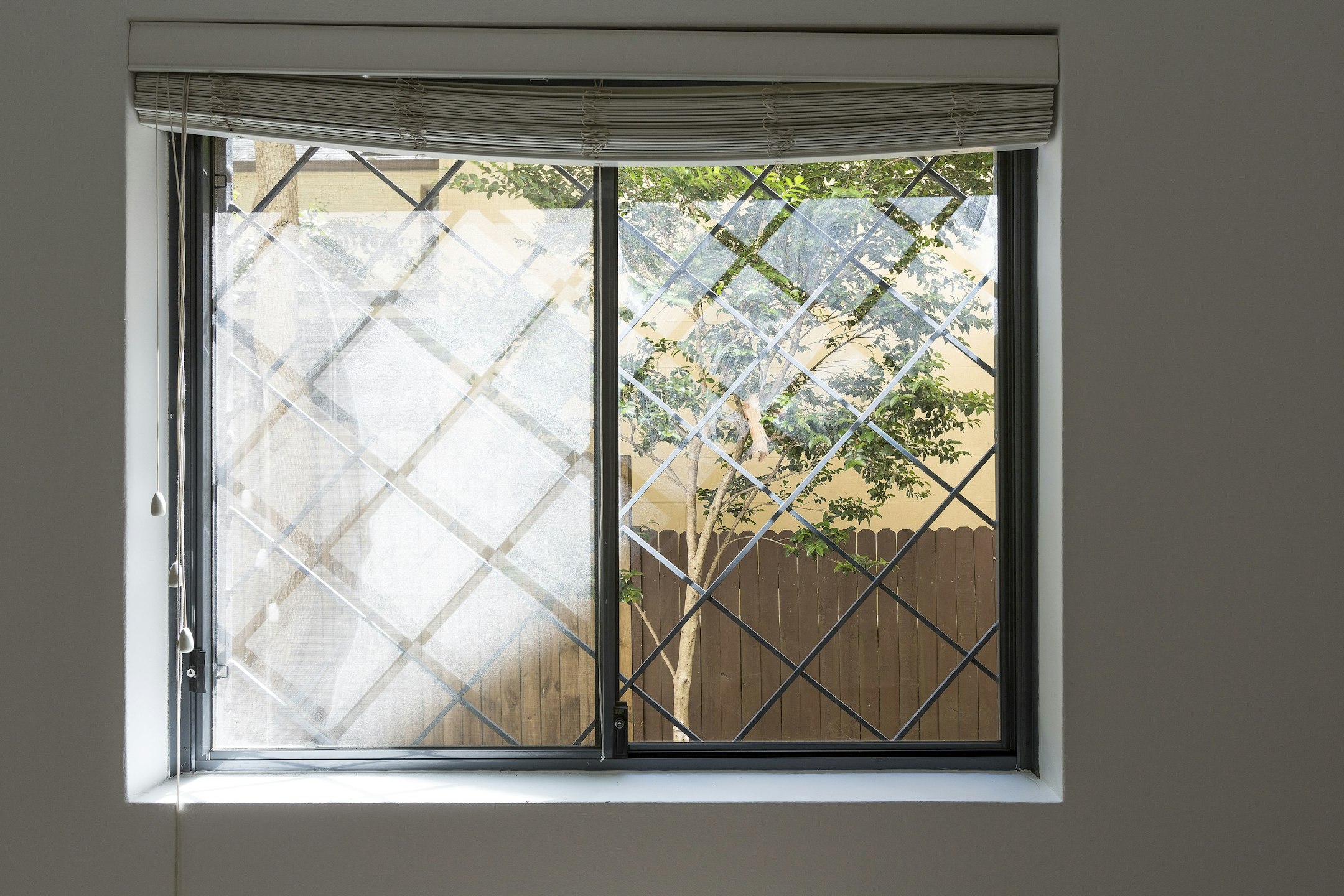 window