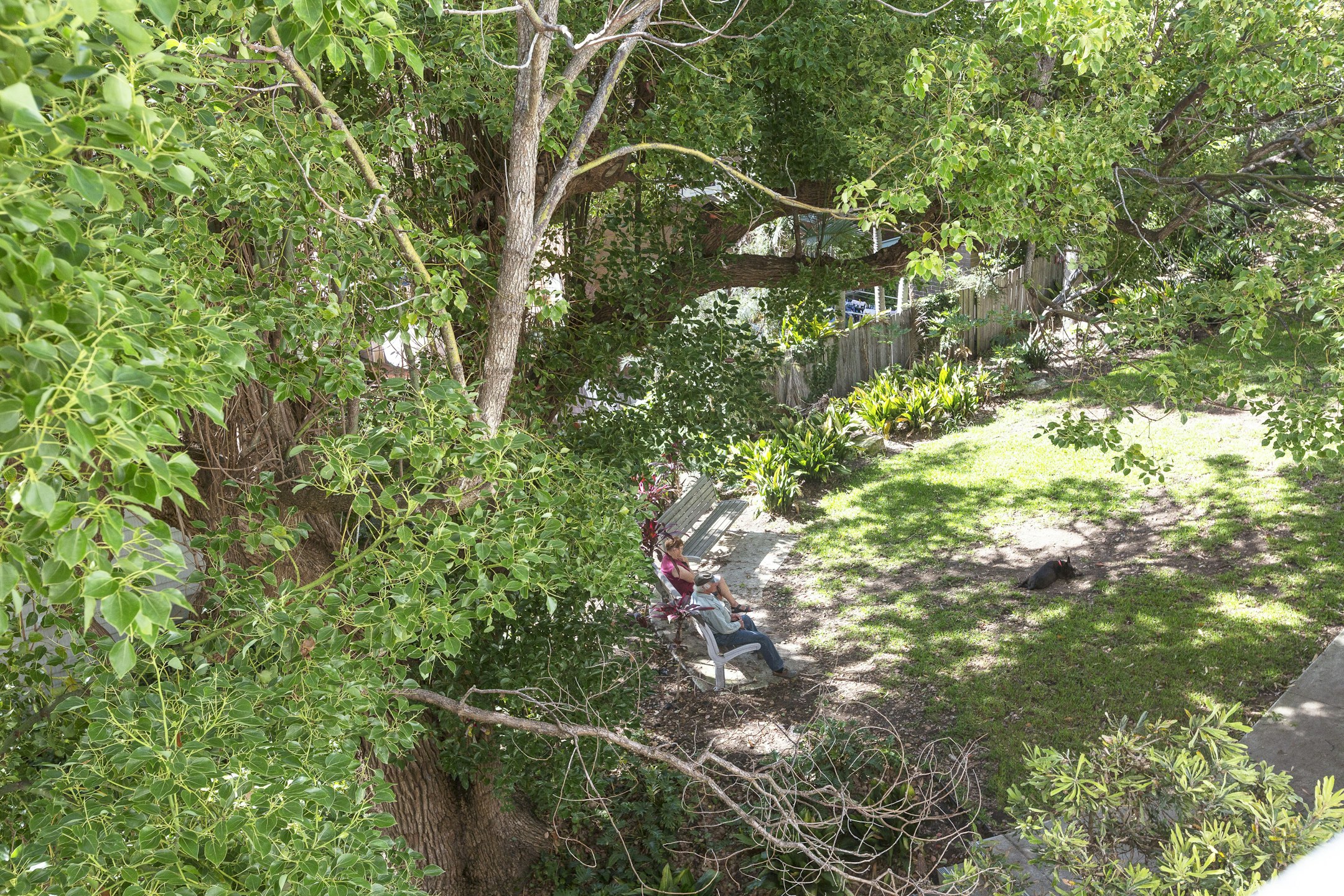 garden