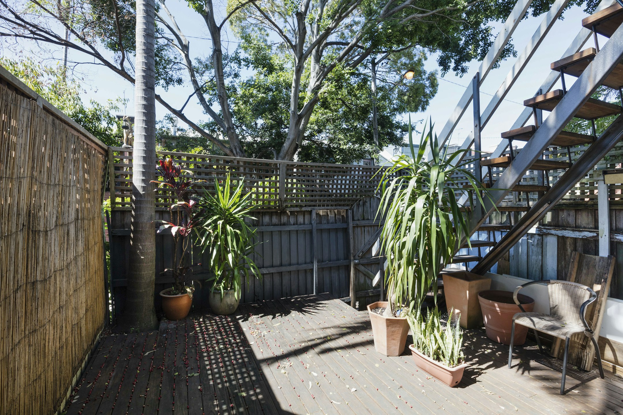 garden