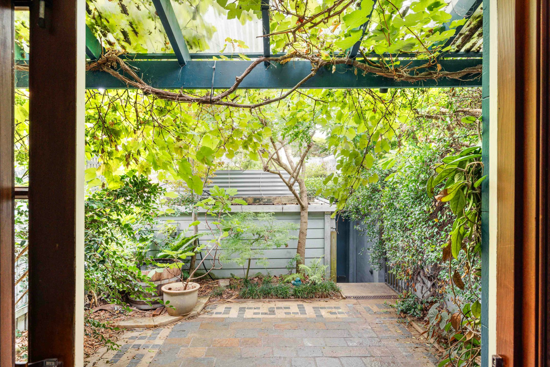 garden