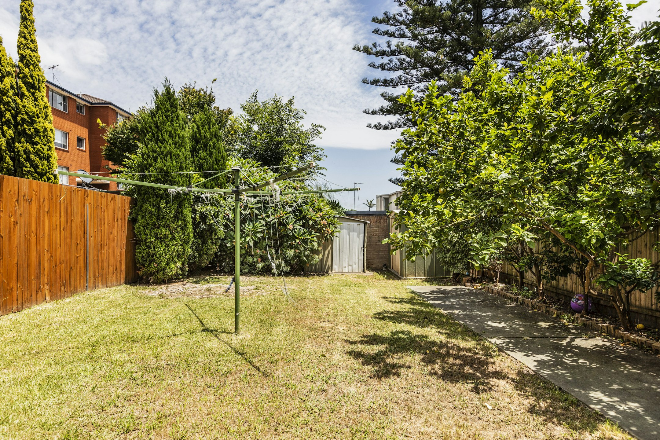 backyard