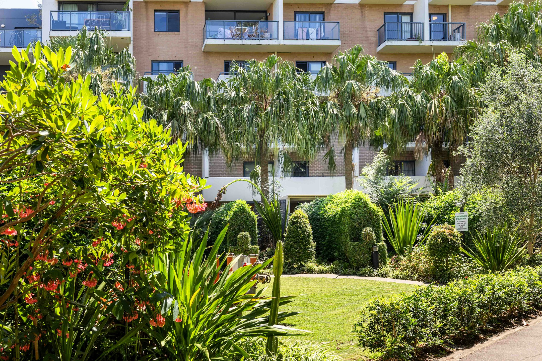 garden