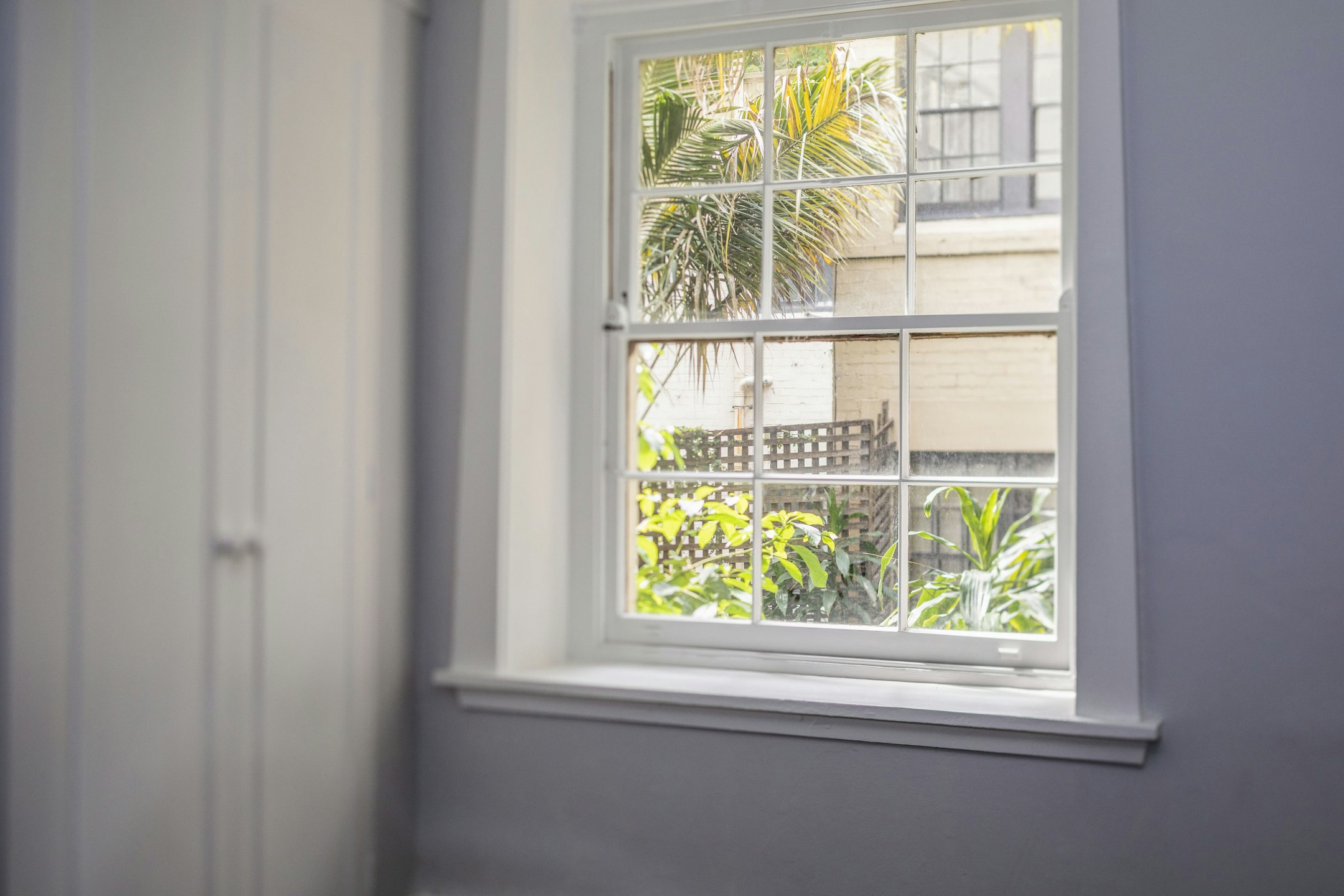 window