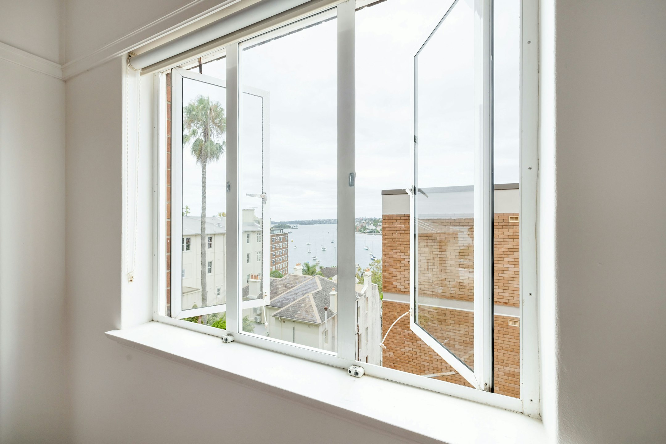 window