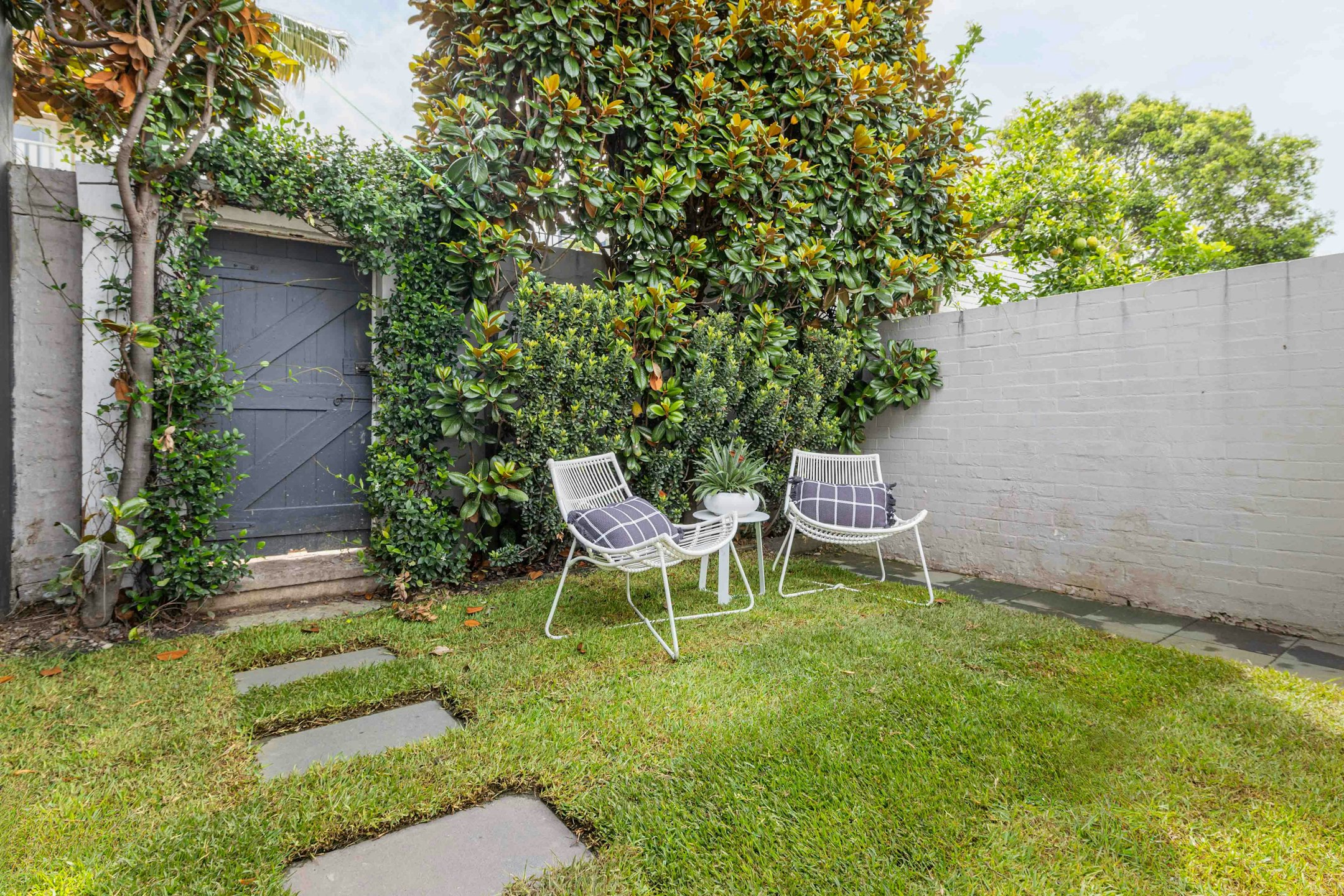 backyard