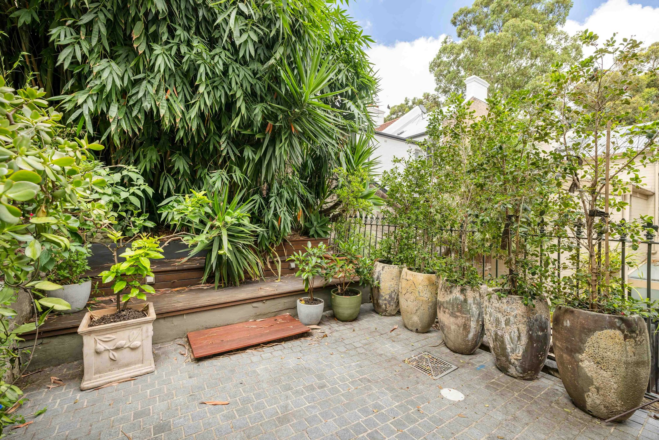 garden