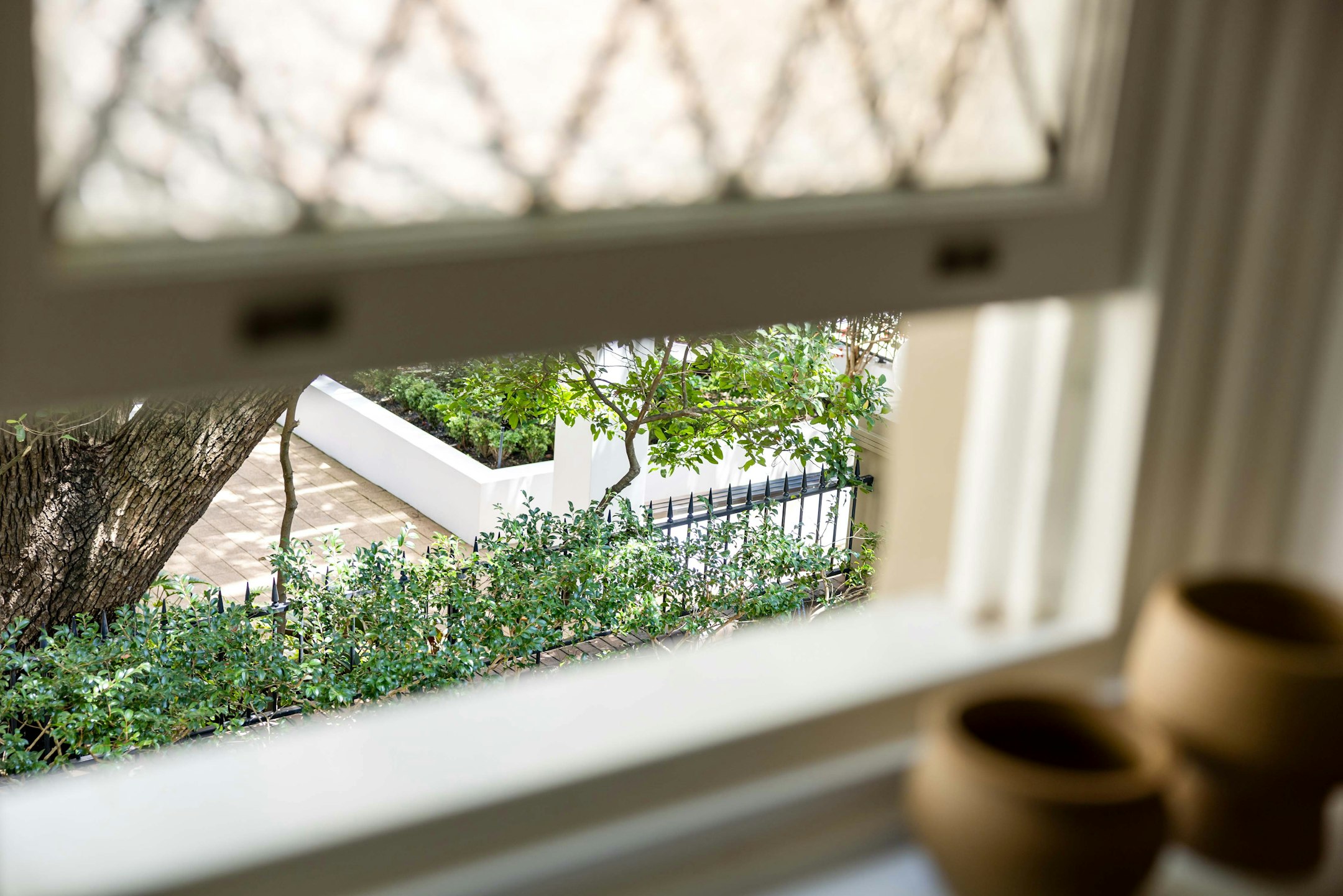 window