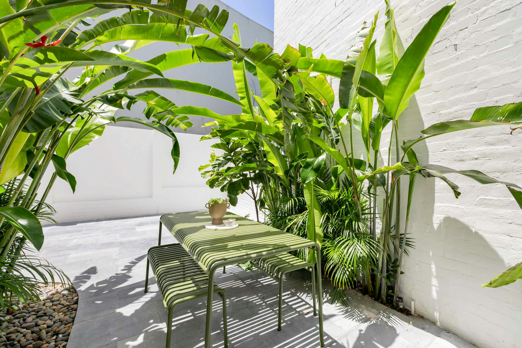 garden