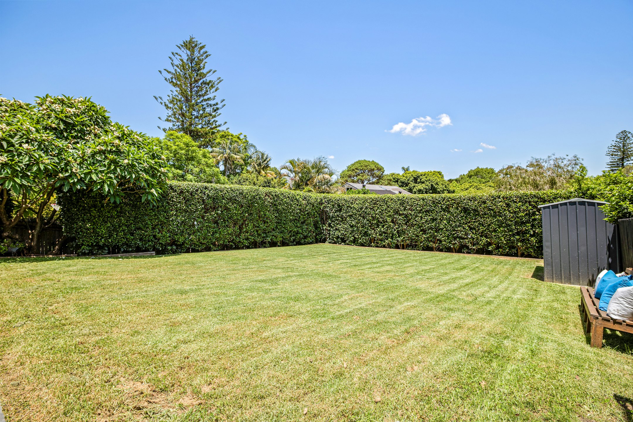 grass