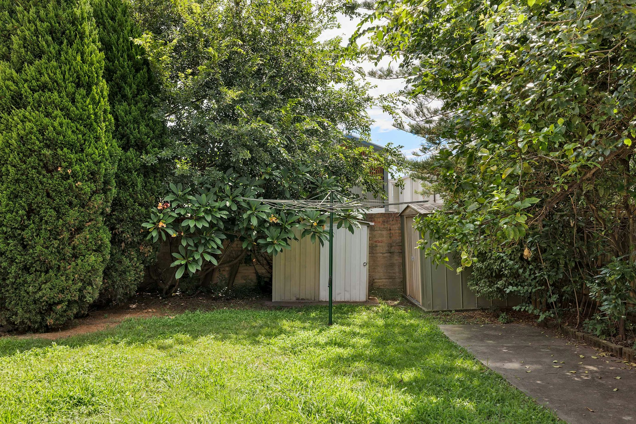 backyard
