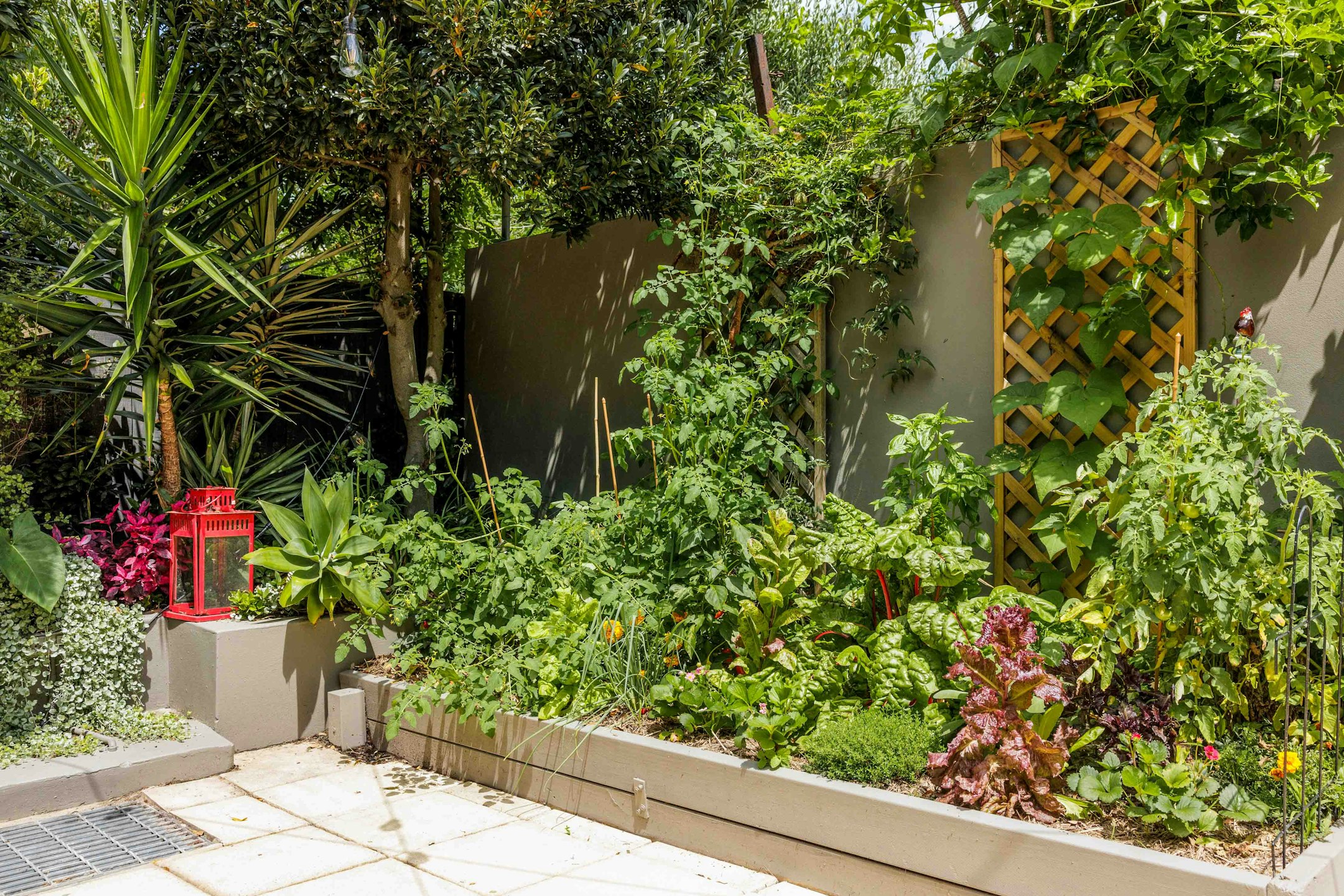 garden