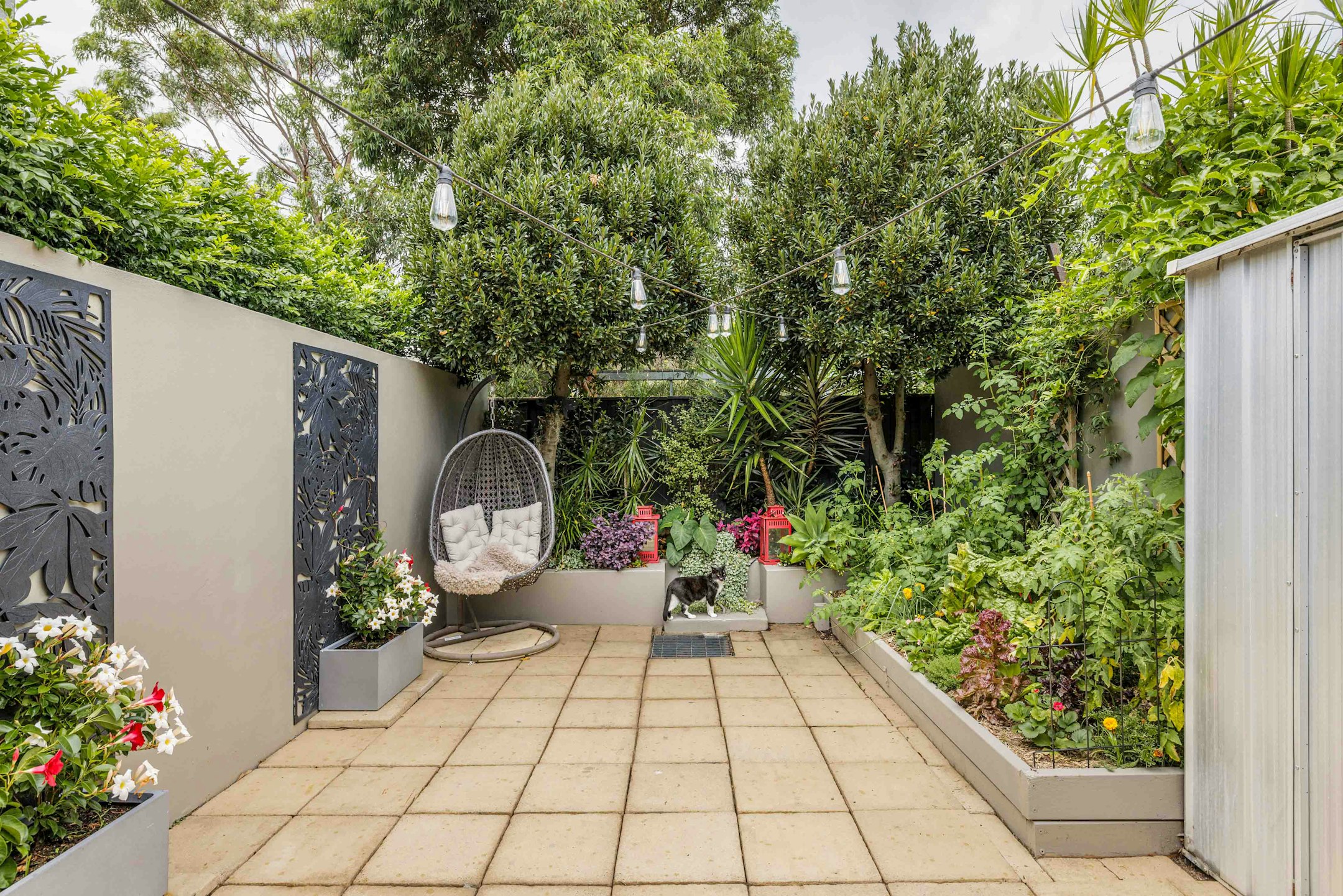 garden