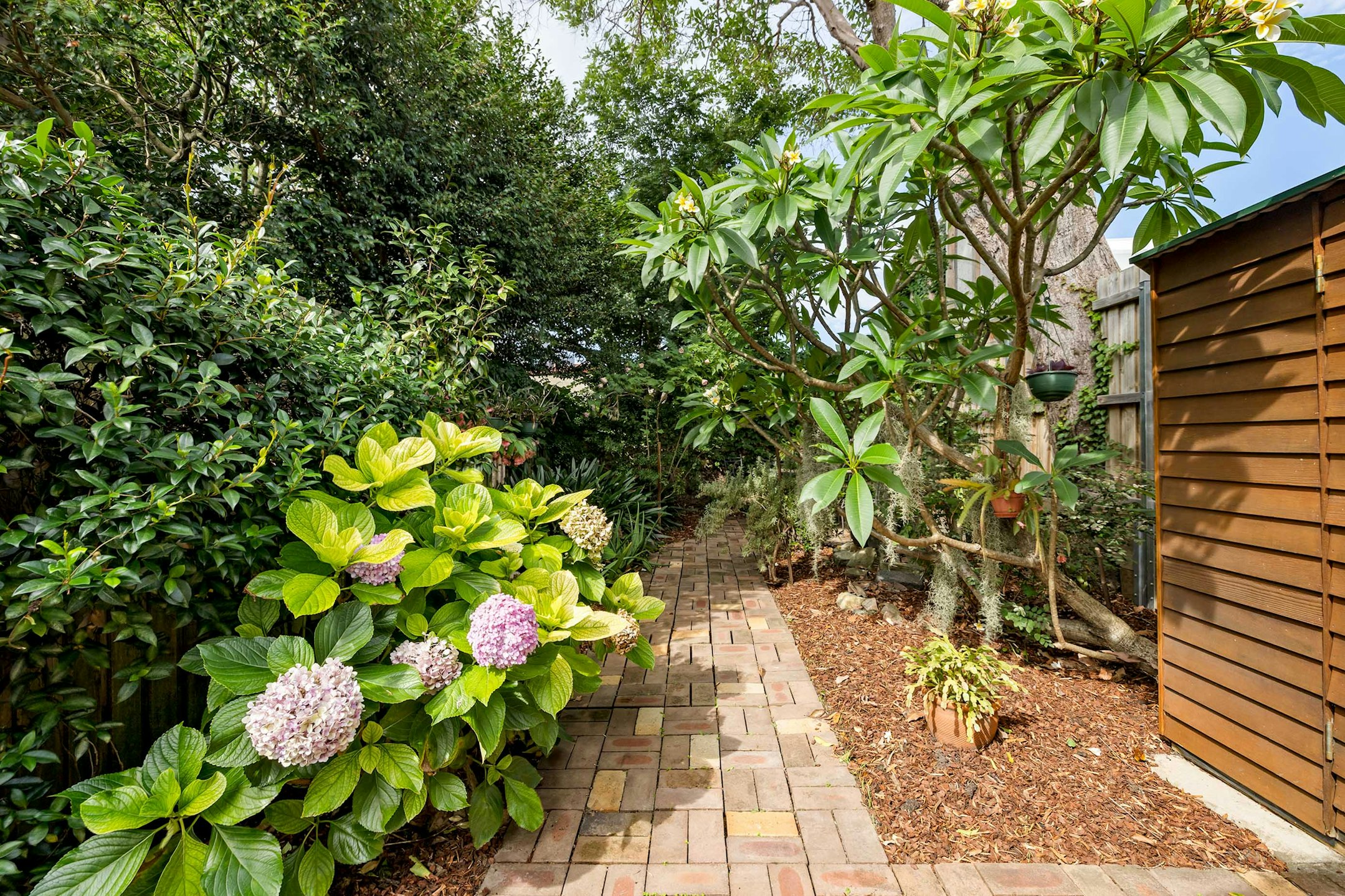 garden