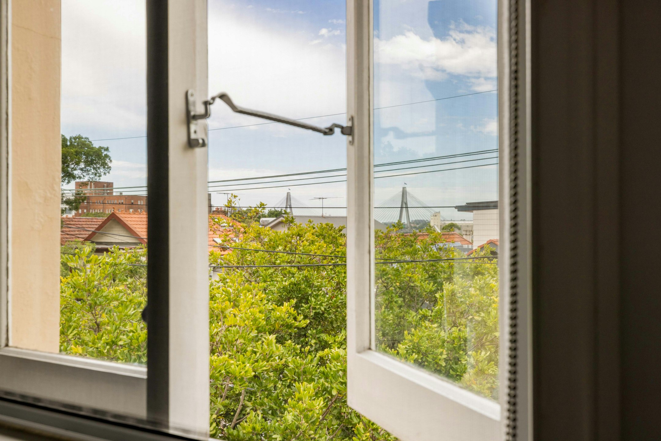 window