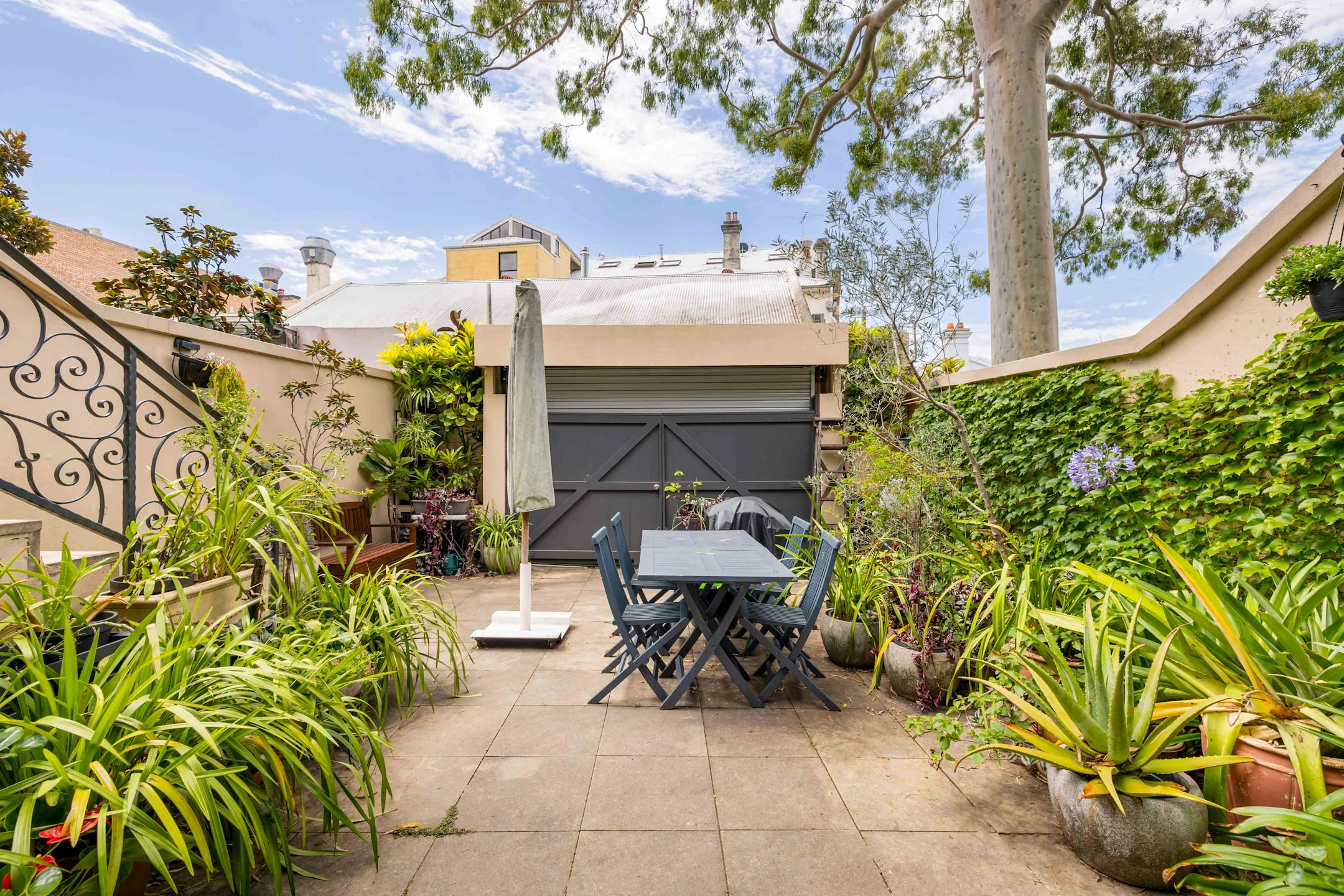 backyard