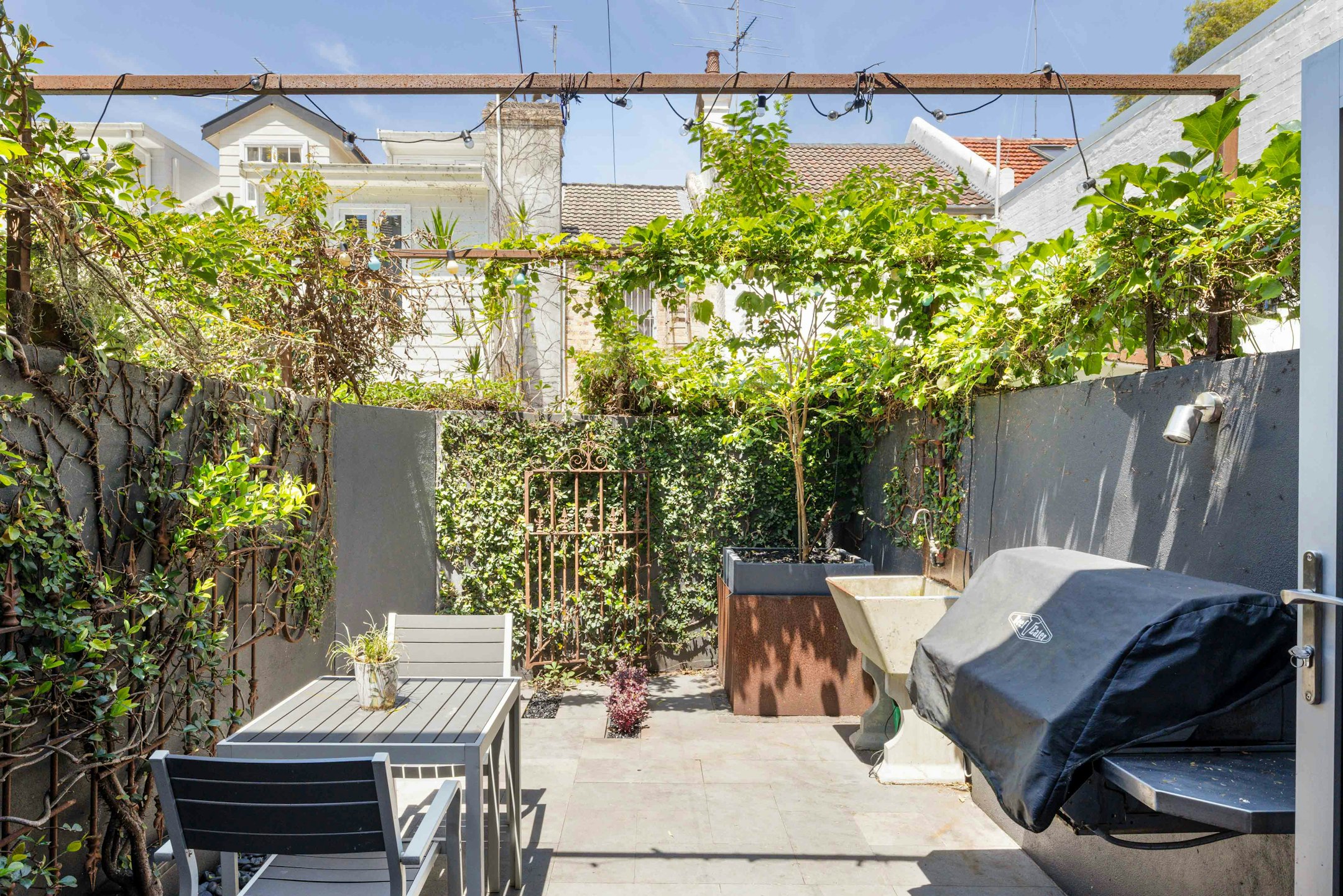 backyard