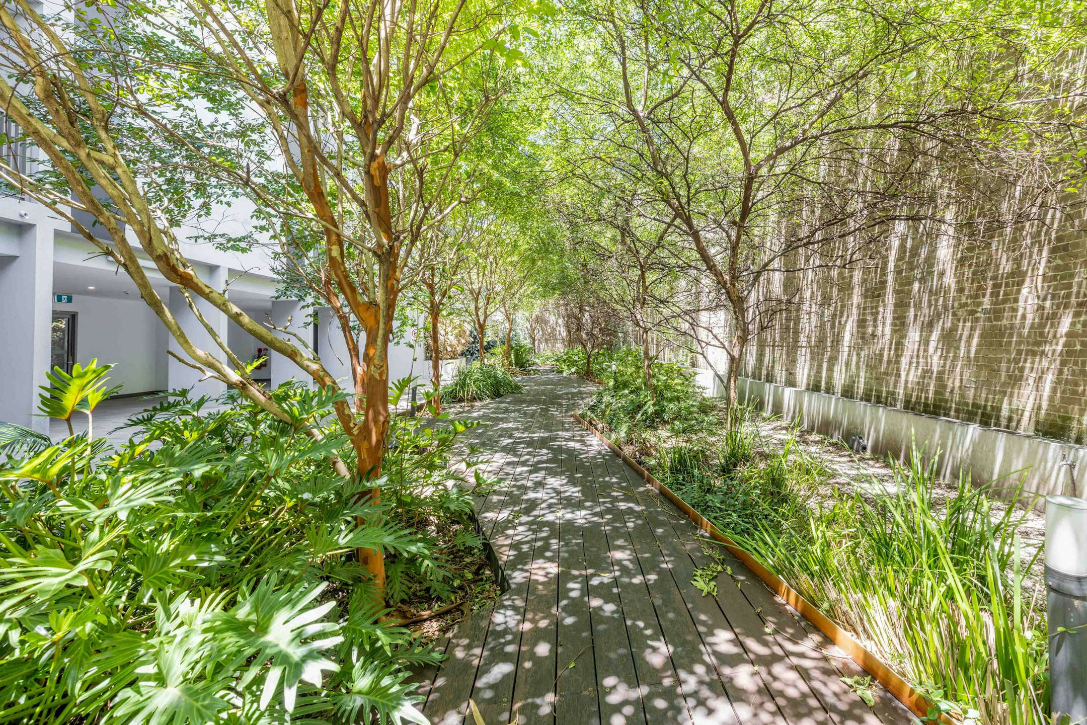 garden