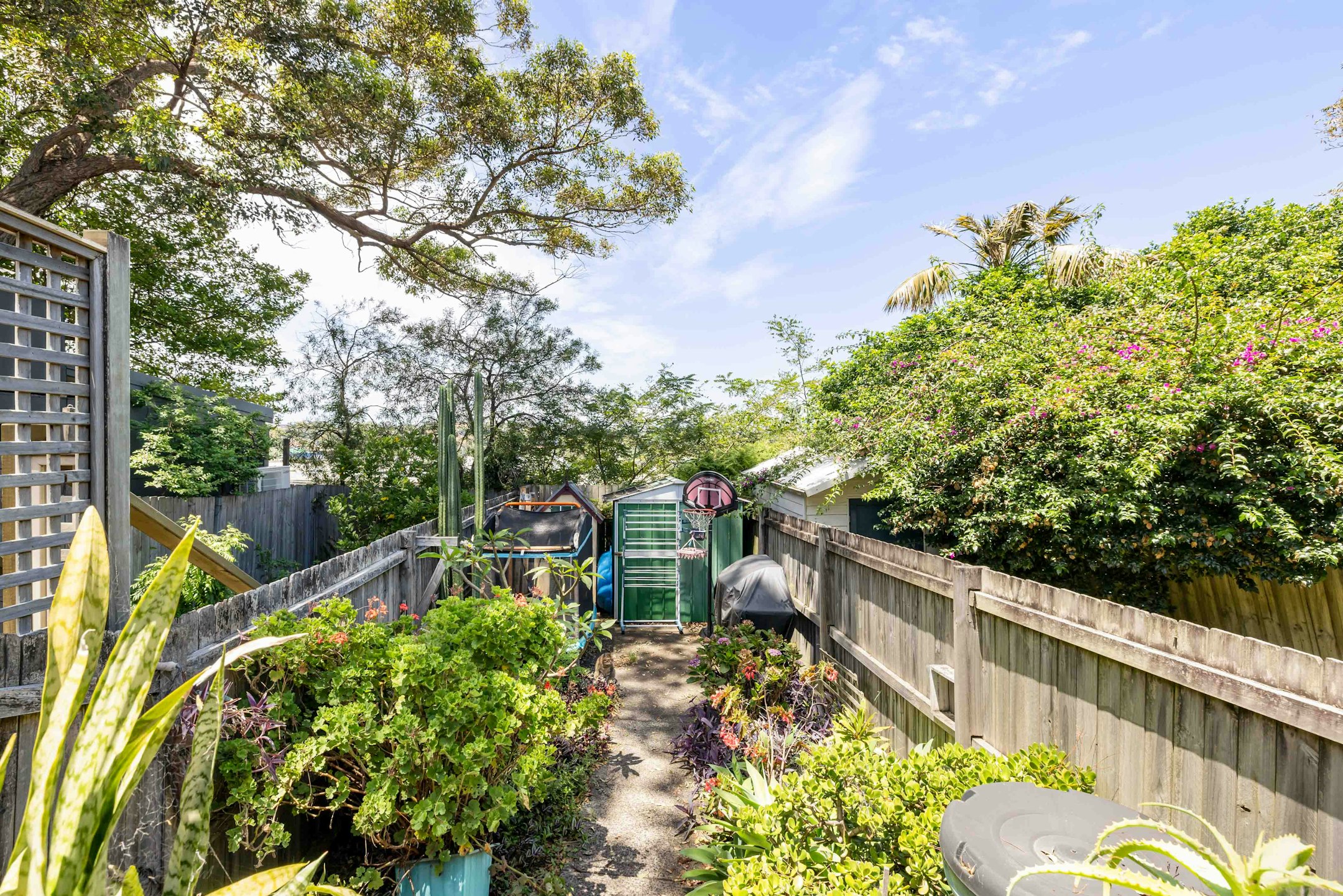 garden
