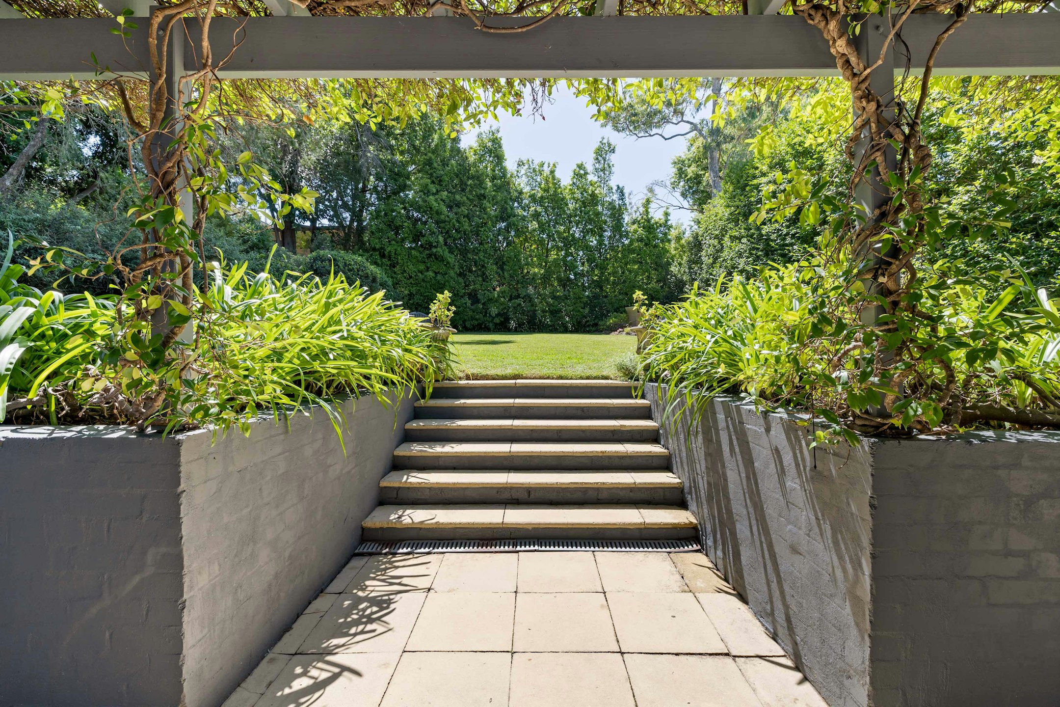 garden
