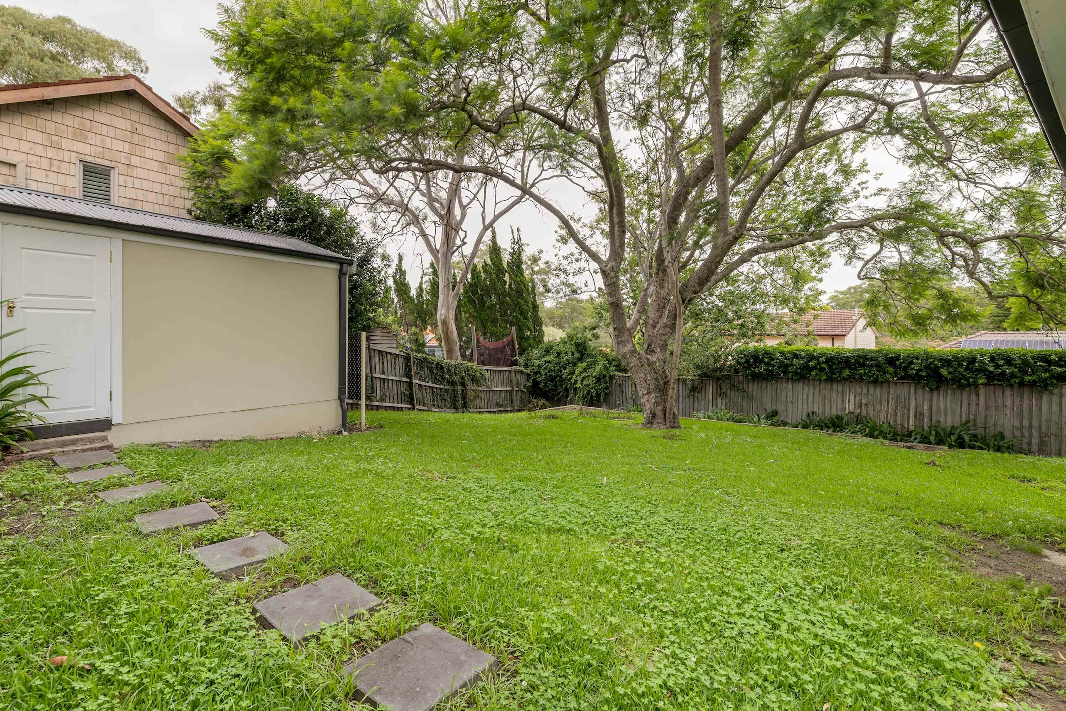 backyard