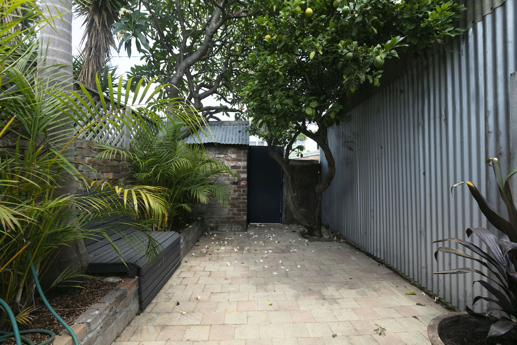path