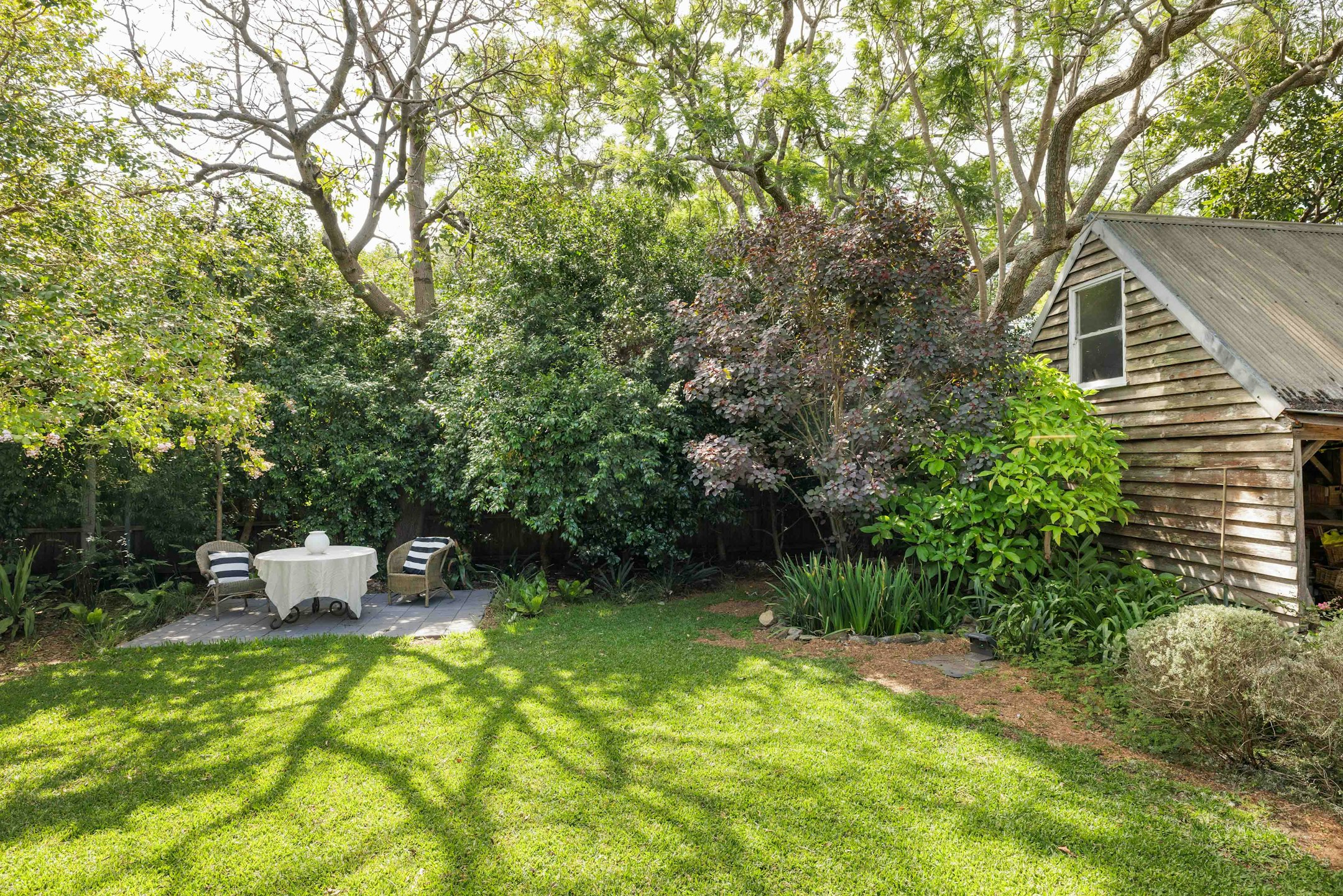 backyard