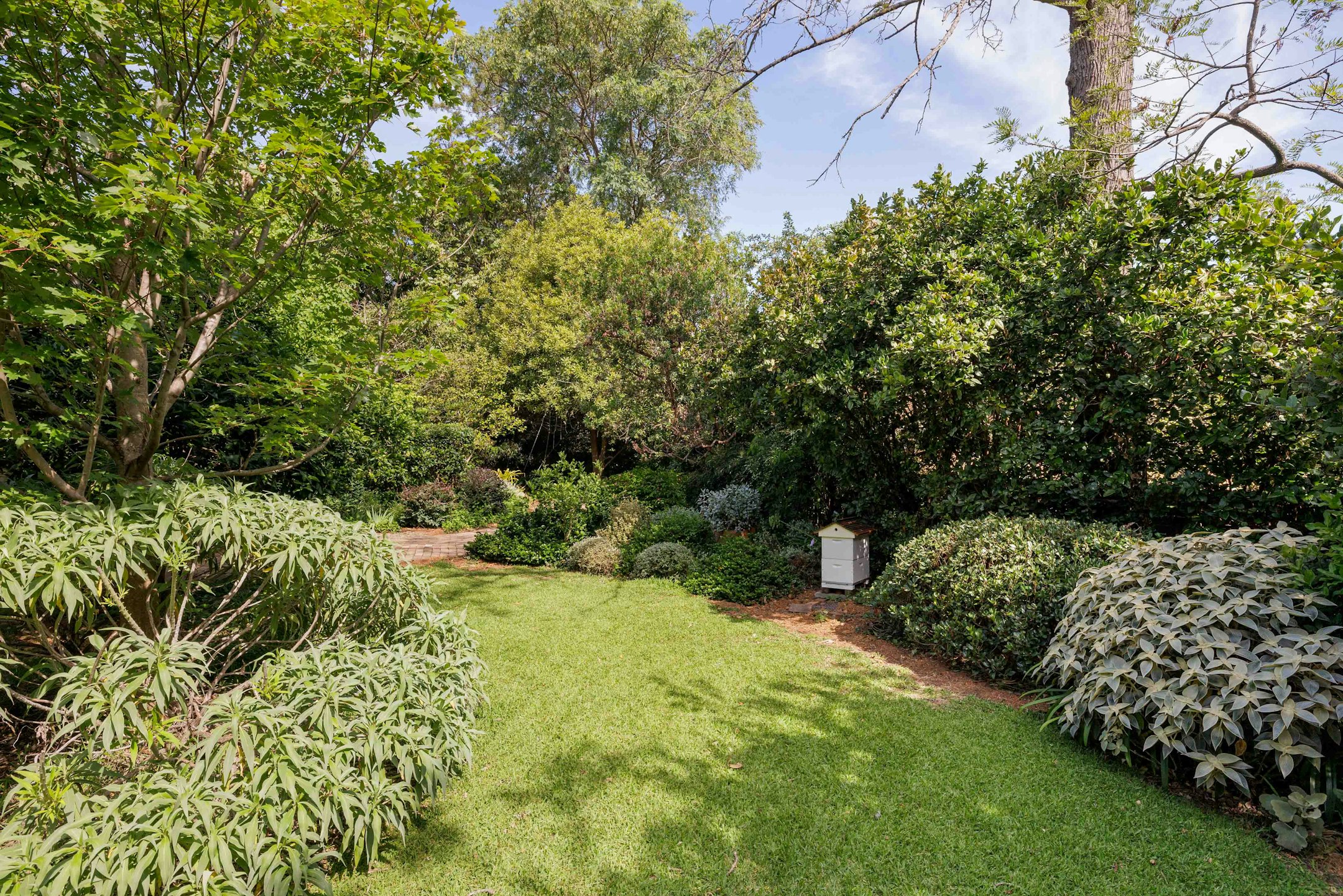 garden
