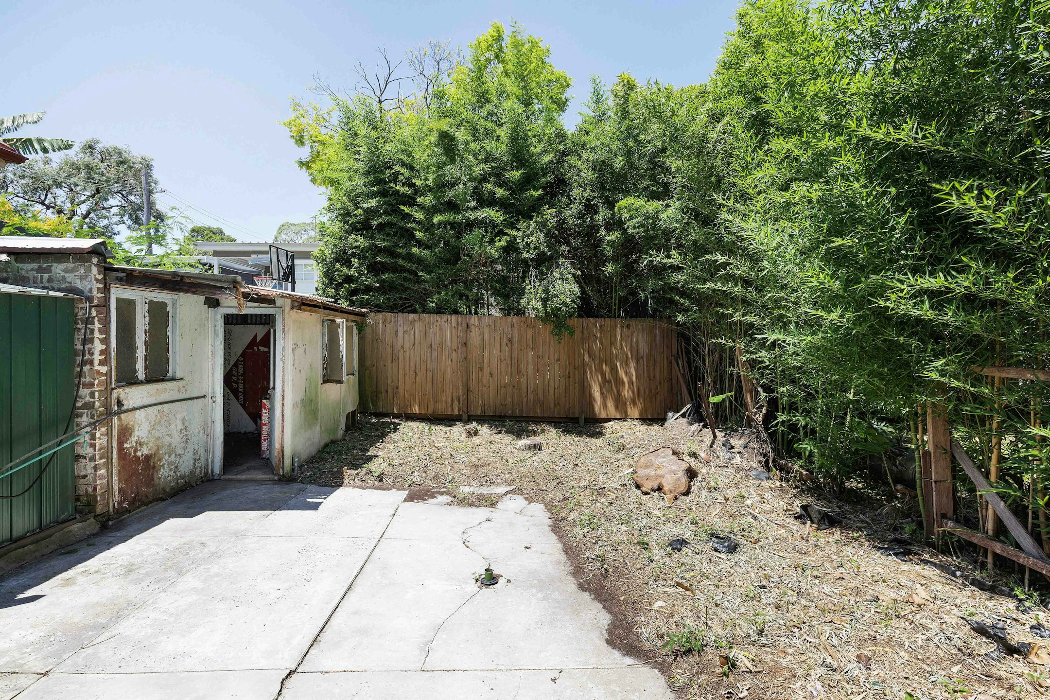 backyard