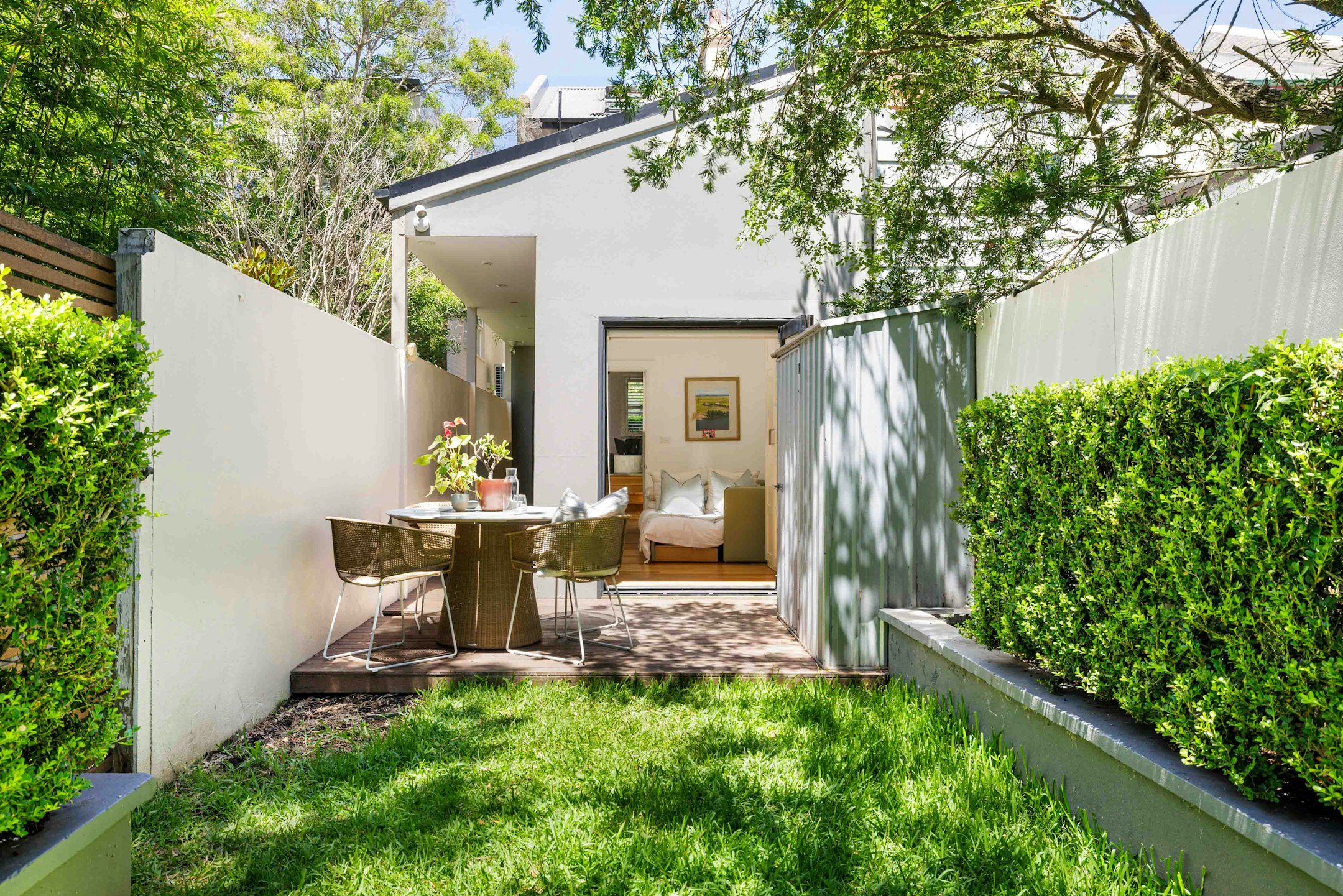 backyard