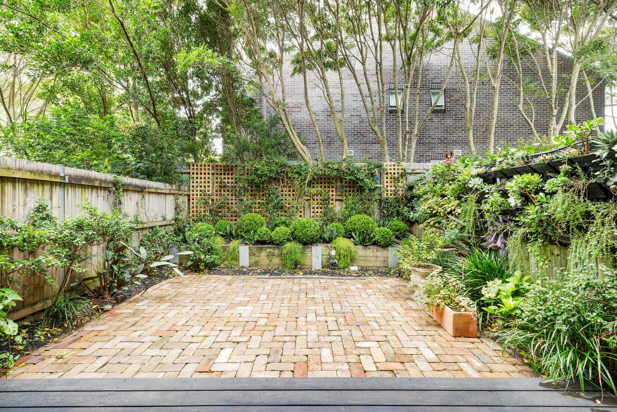 garden