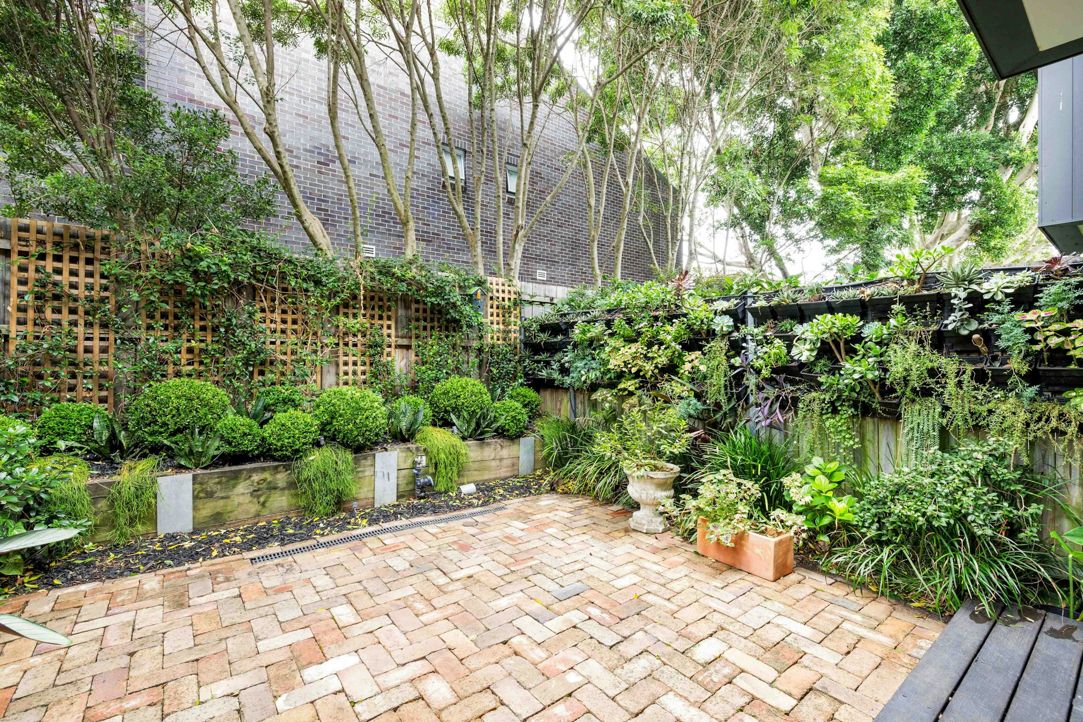 garden