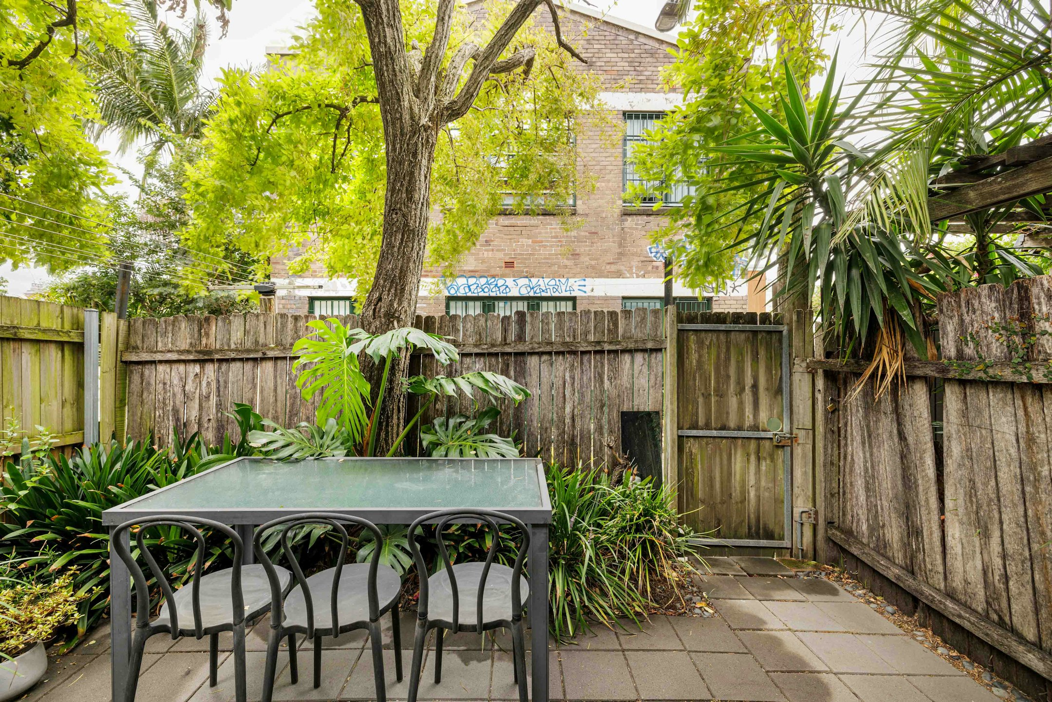 backyard