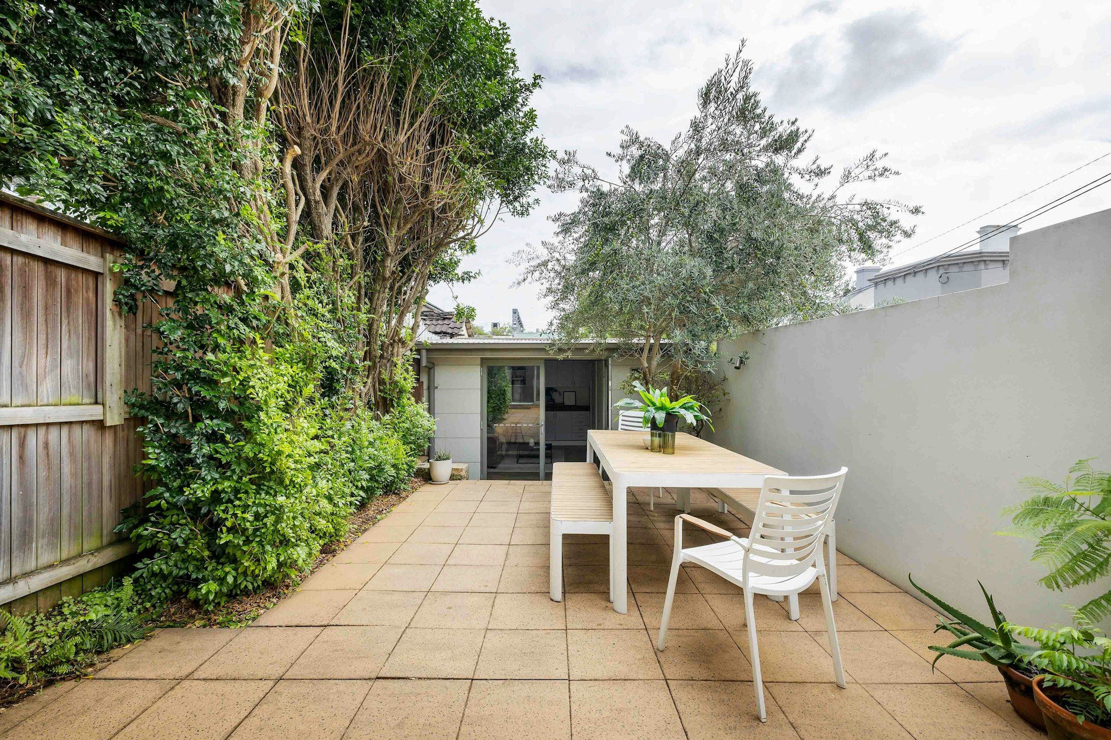 backyard